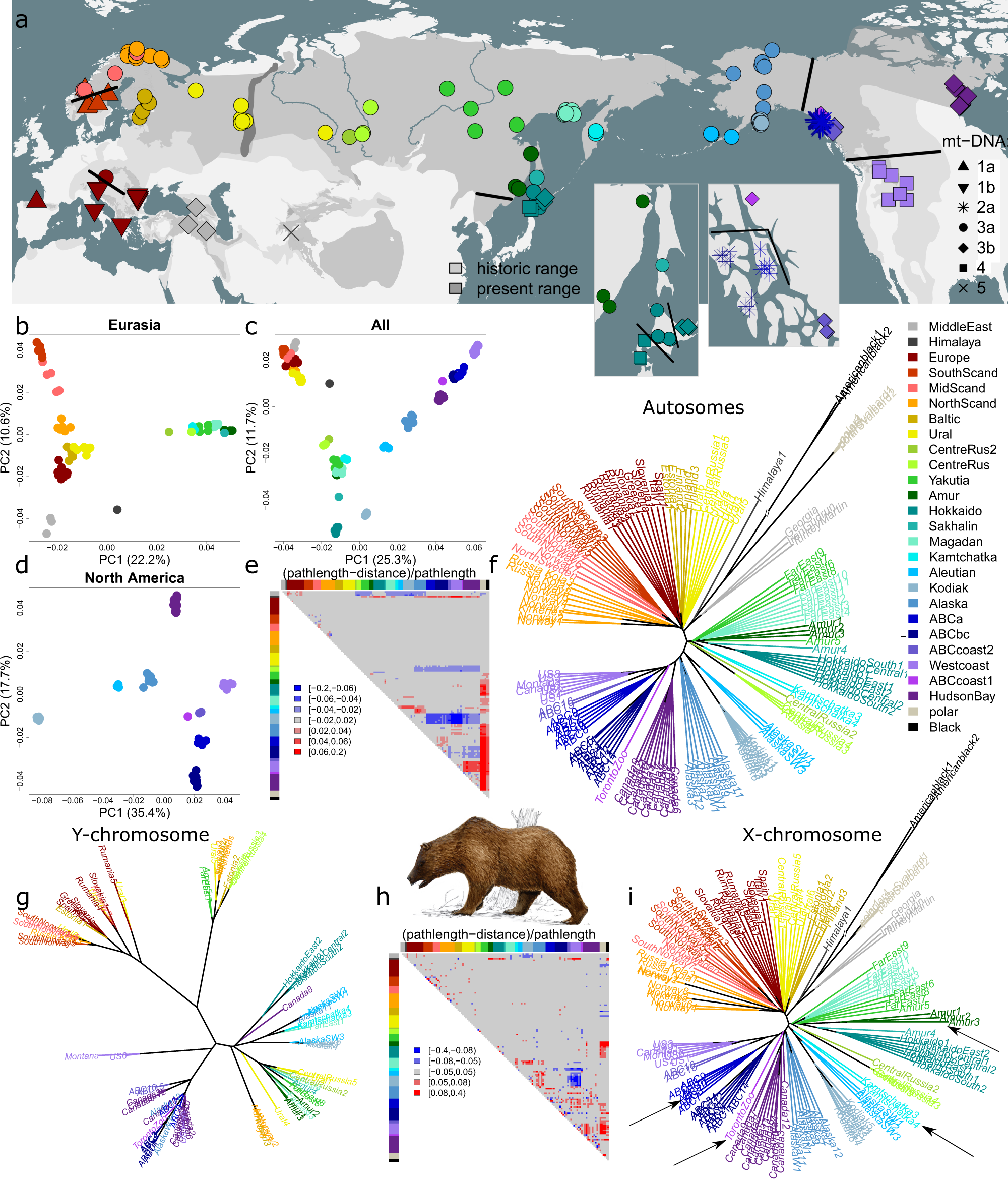 A History of the Changing Use of the Bear as a Symbol of Russia