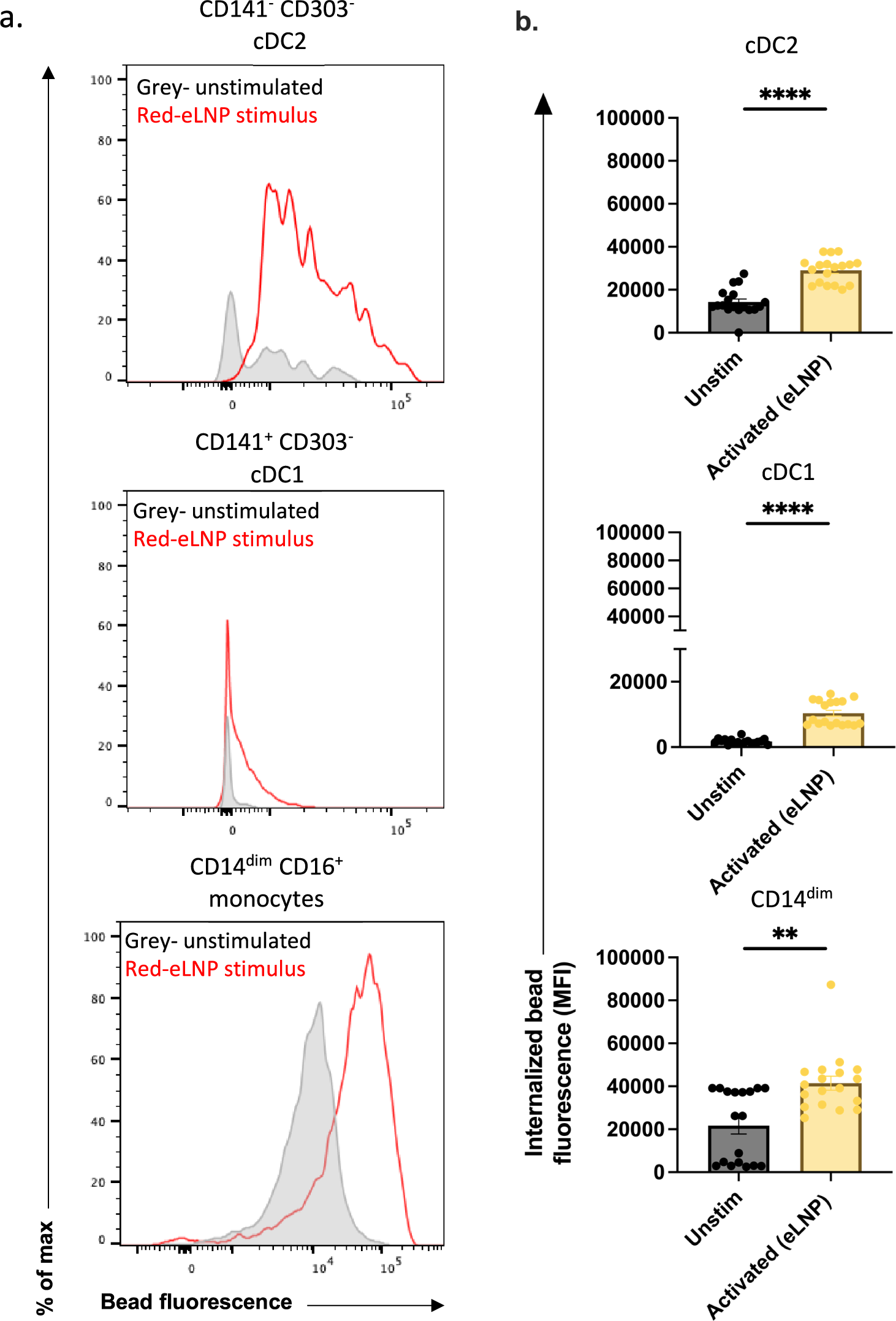 Fig. 3: Phagocytosis is induced in cDC2, cDC1, CD14dim CD16+ monocytes in response to eLNP stimulation.