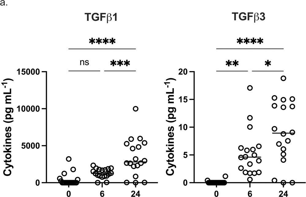 Fig. 4: eLNP treatment promotes TGF-B secretion.