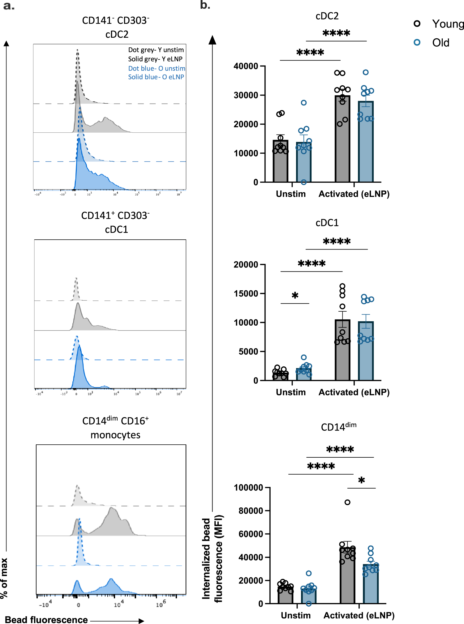 Fig. 6: Phagocytosis is induced in response to eLNP stimulation.