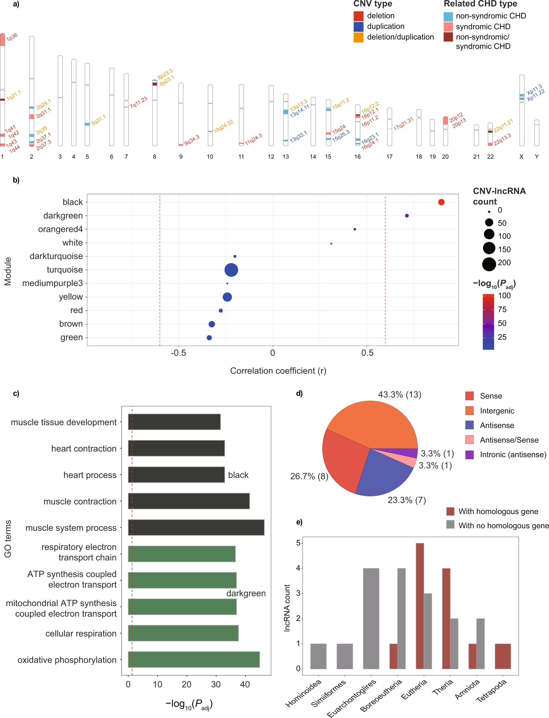 Fig. 2: Recurrent CHD associated CNV-lncRNAs in heart-correlated coexpression modules.