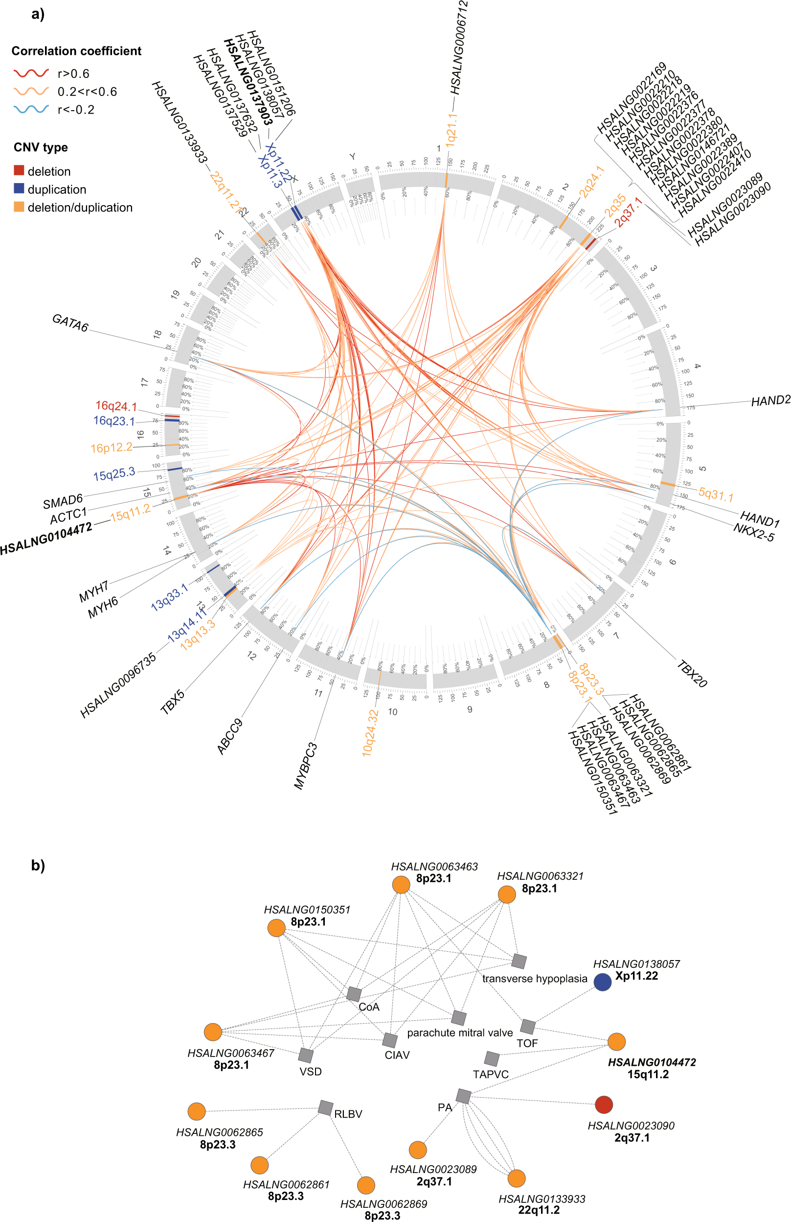 Fig. 3: Black module contained co-expressed CNV-lncRNAs and CHD genes.