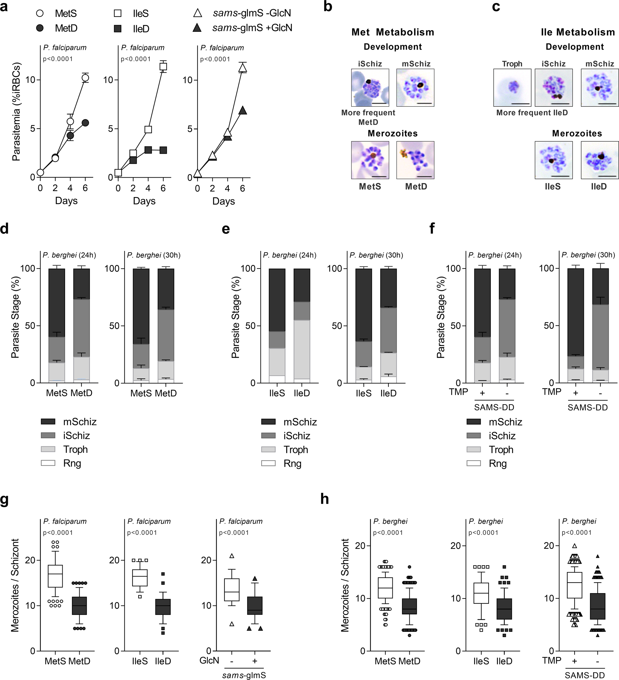 Global kinomic and phospho-proteomic analyses of the human malaria parasite  Plasmodium falciparum