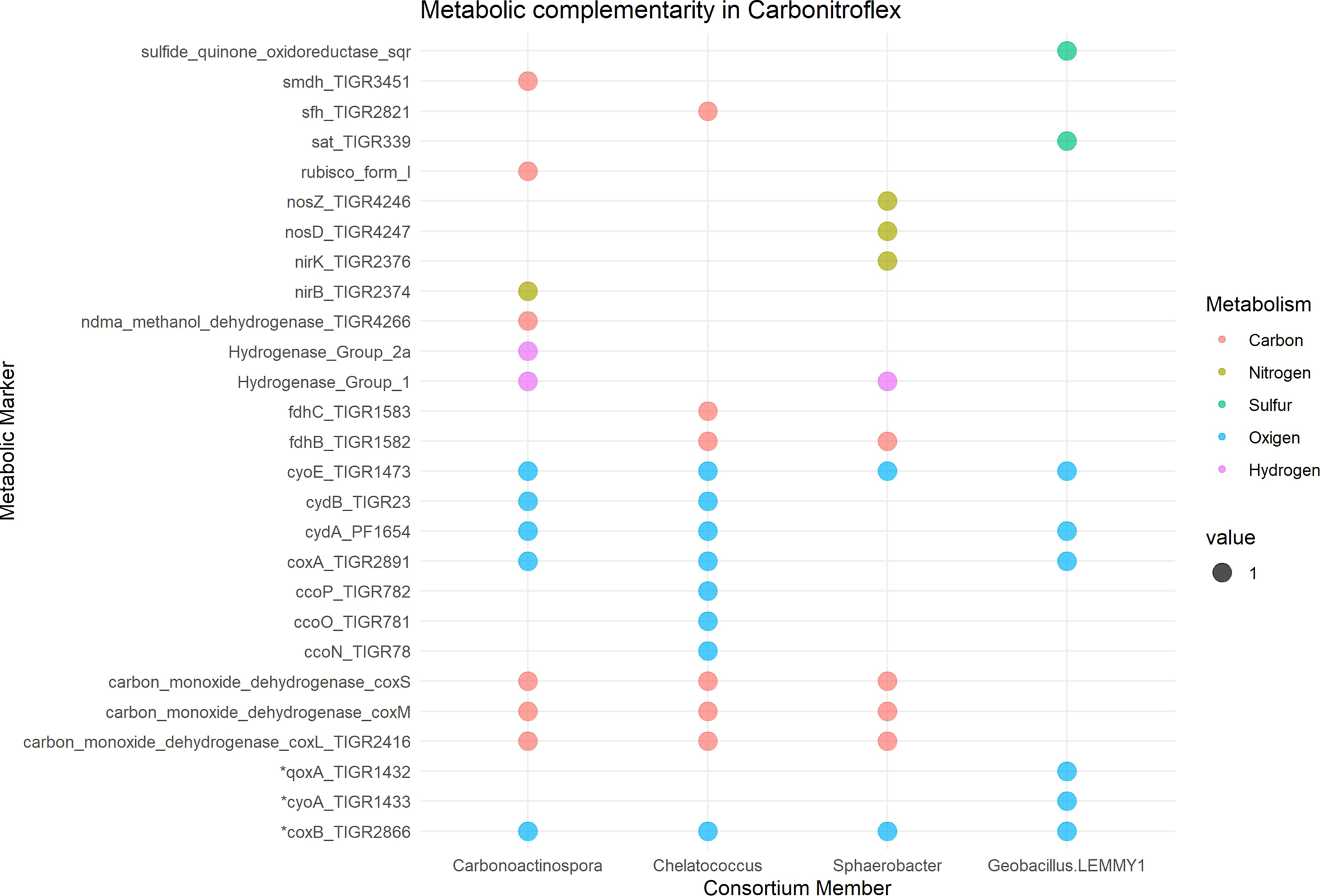 Fig. 5: Overall metabolic functions across the MAGs and Geobacillus spp. genome comprising the carbonitroflex consortium.