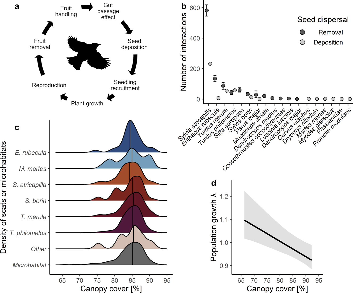 Common seed dispersers contribute most to the persistence of a  fleshy-fruited tree | Communications Biology