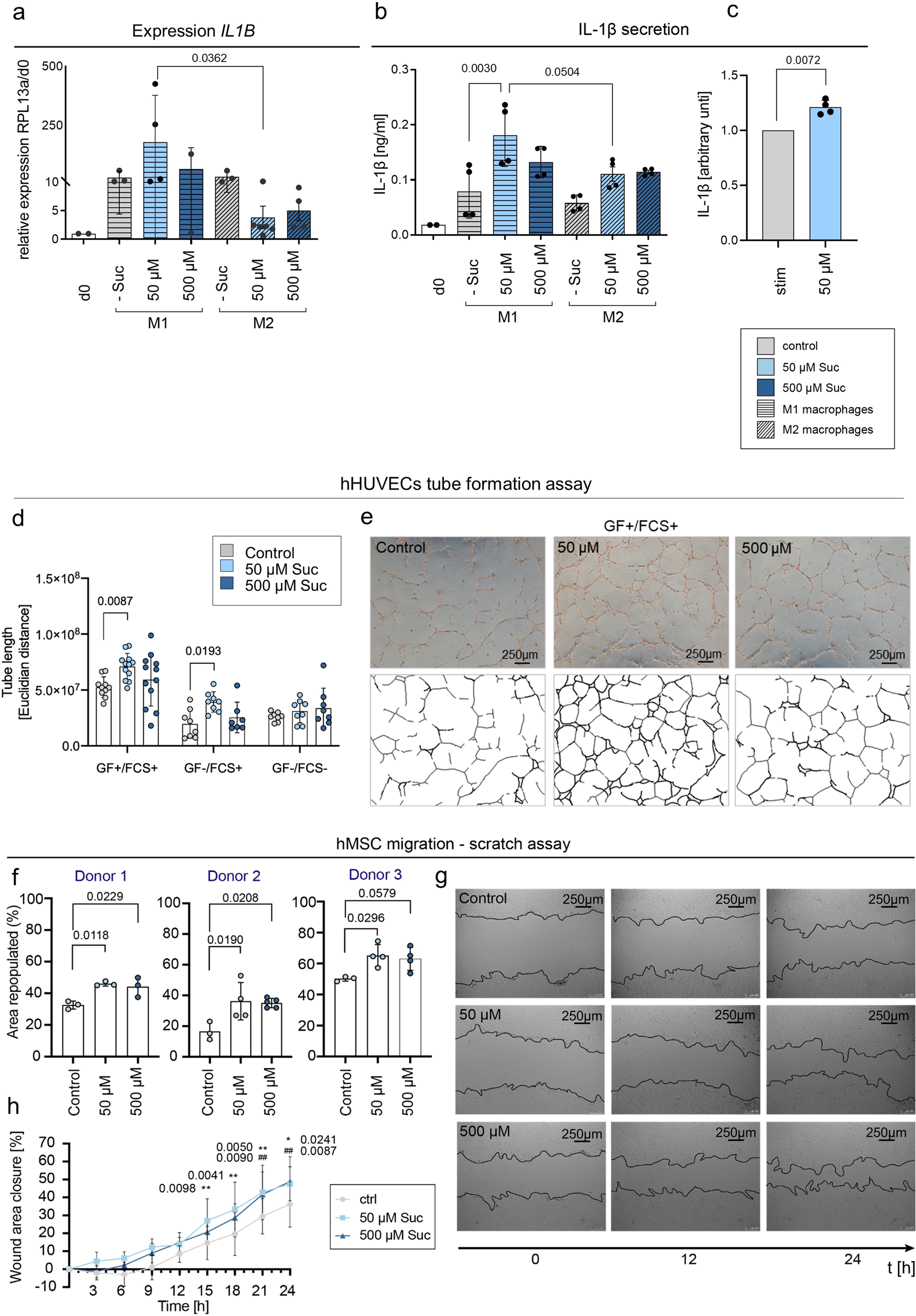 Fig. 7: Modulation effects of different cell populations by extracellular succinate application.