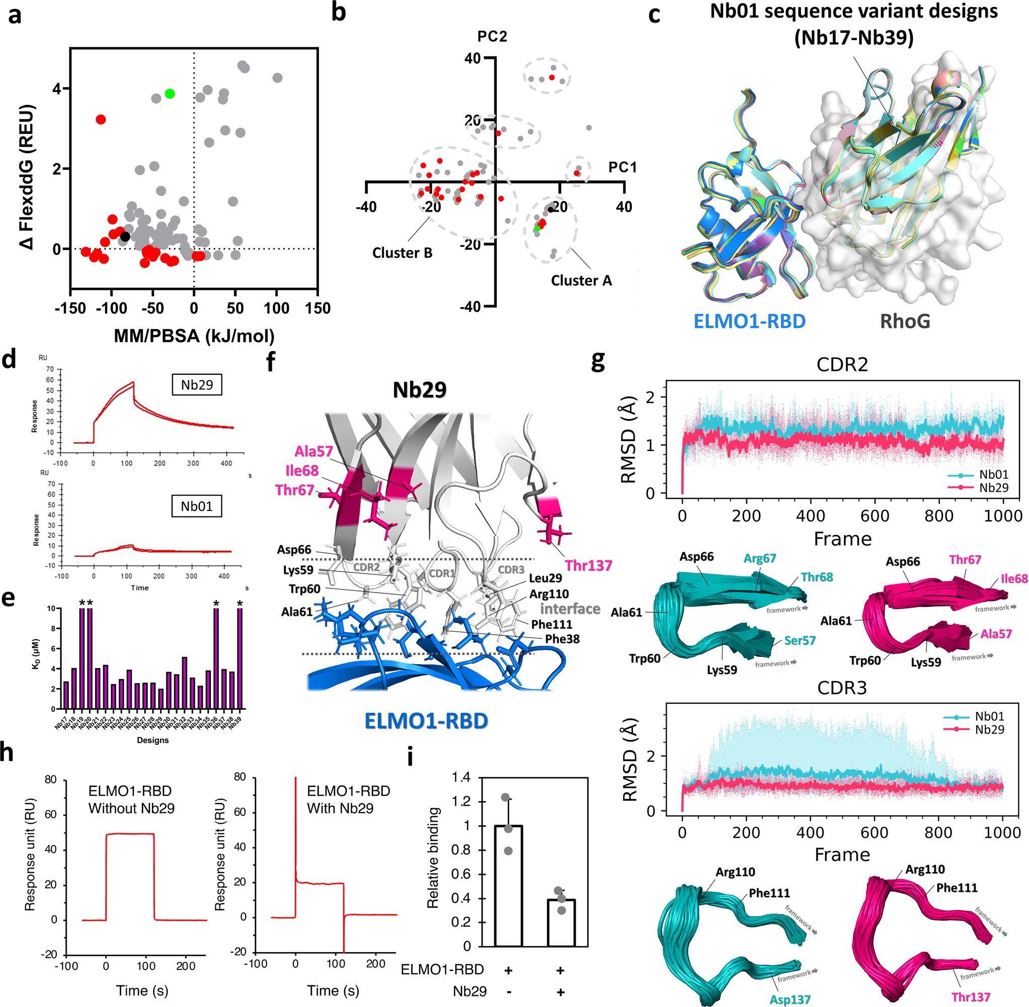 Fig. 3: Computational design and experimental verification results from affinity maturation design of Nb01.