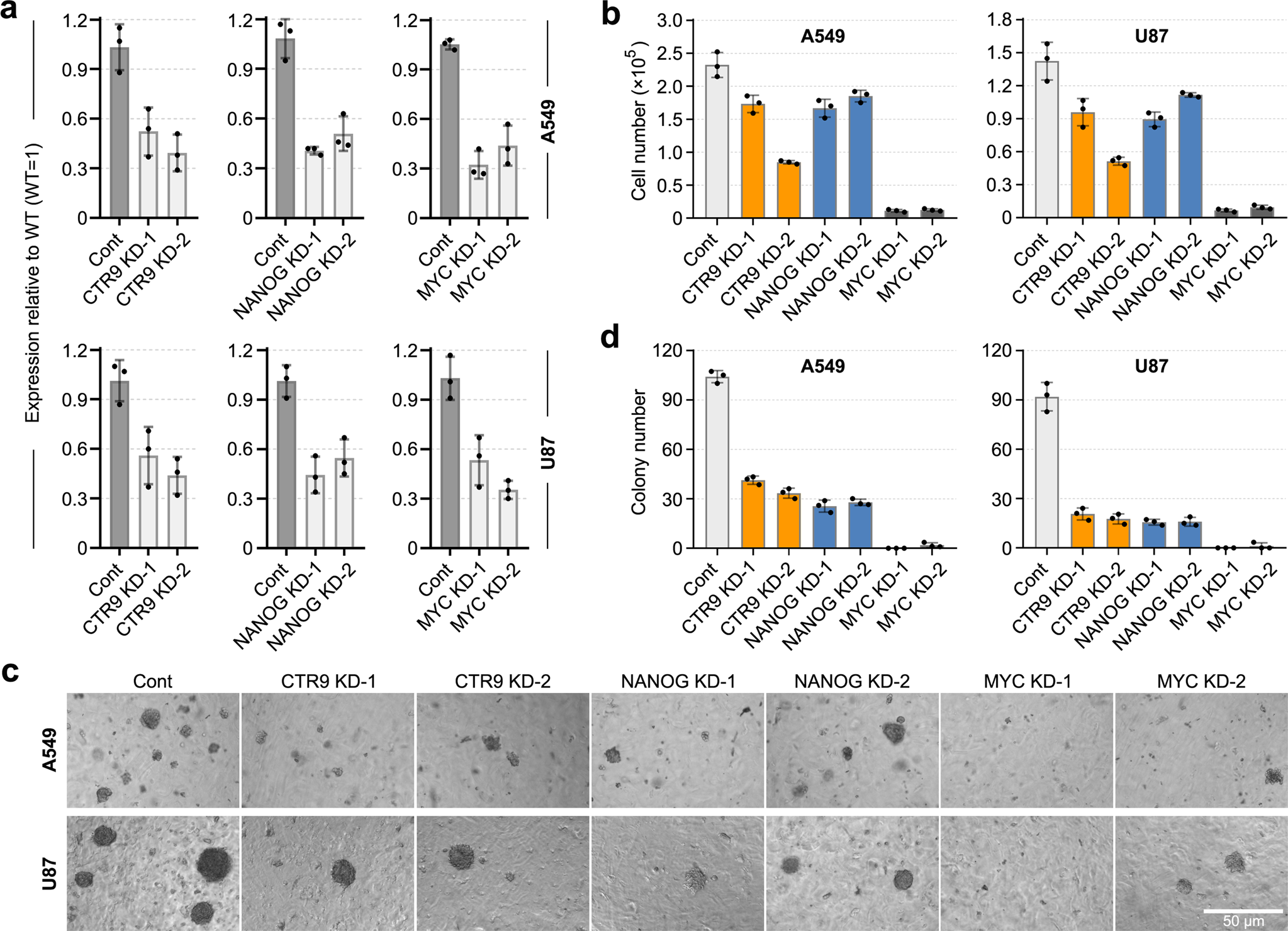 Fig. 9: The functional analysis of CORE, MYC and PAF modules in cancer cells.