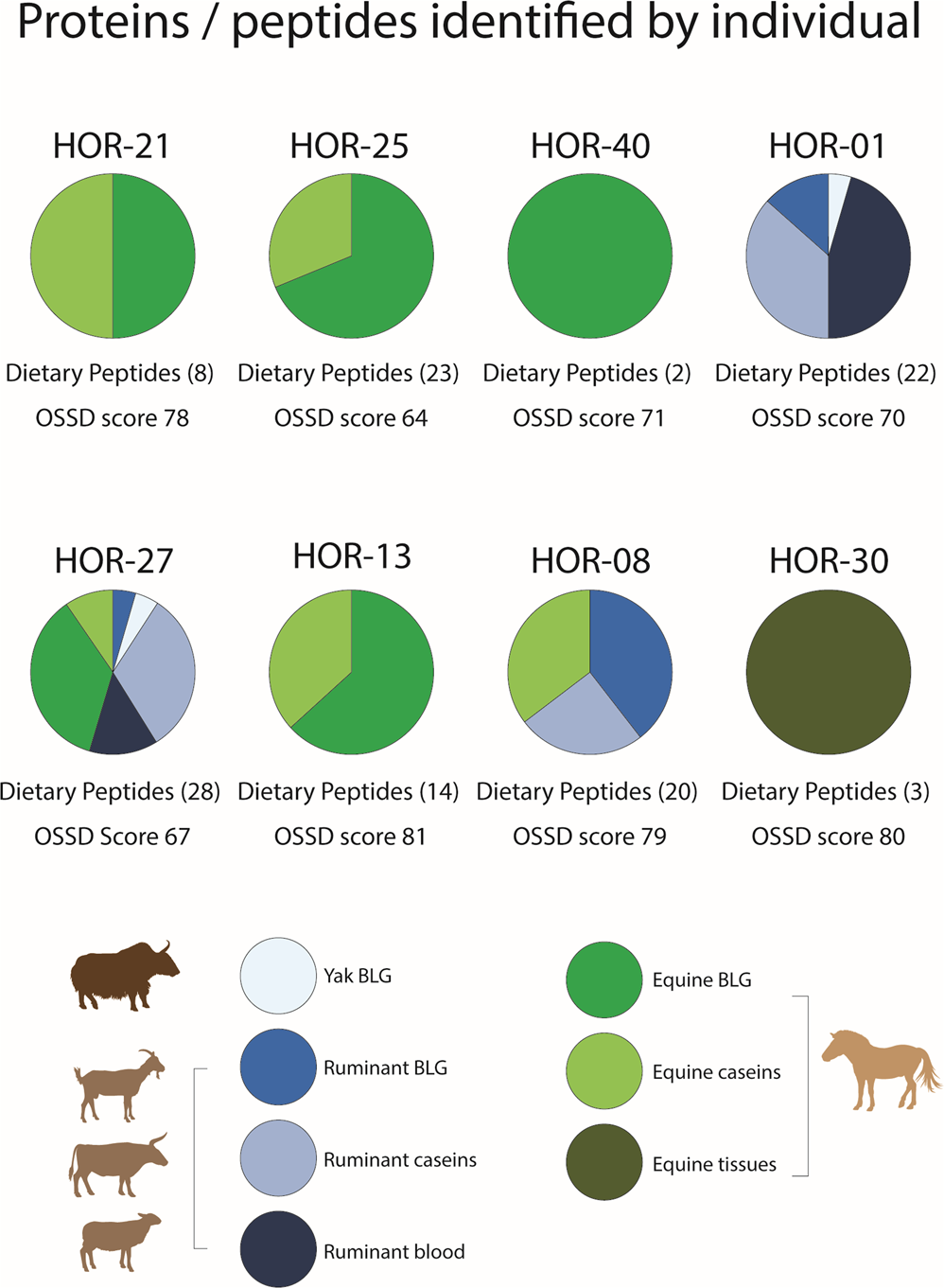 Fig. 4: Proportion of proteins/peptides for each individual.