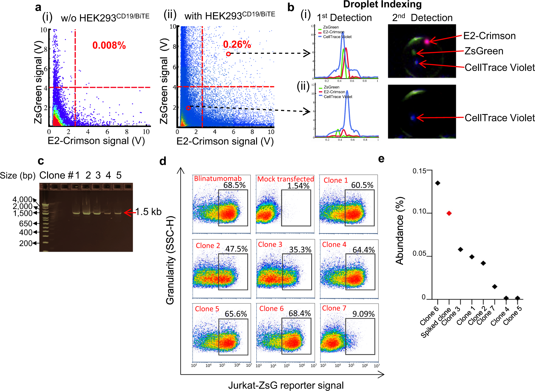 Fig. 5: Functional screening of the complex BiTE cell library HEK293_LPCD19/BiTE spiked with 0.1% HEK293_LPCD19/Blin using a double-reporter based orthogonal assay chemistry on the single cell screening platform.
