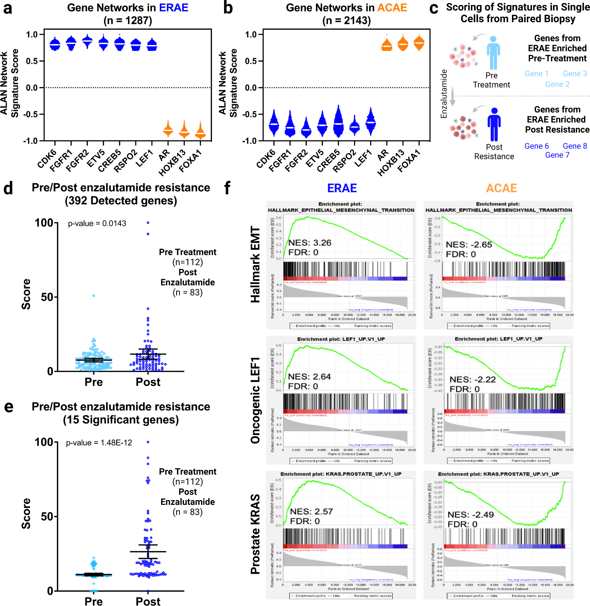 Fig. 4: ALAN identifies resistant gene signature distinct from AR and co-factors that is enriched post enzalutamide treatment and associated with resistant oncogenic signatures.