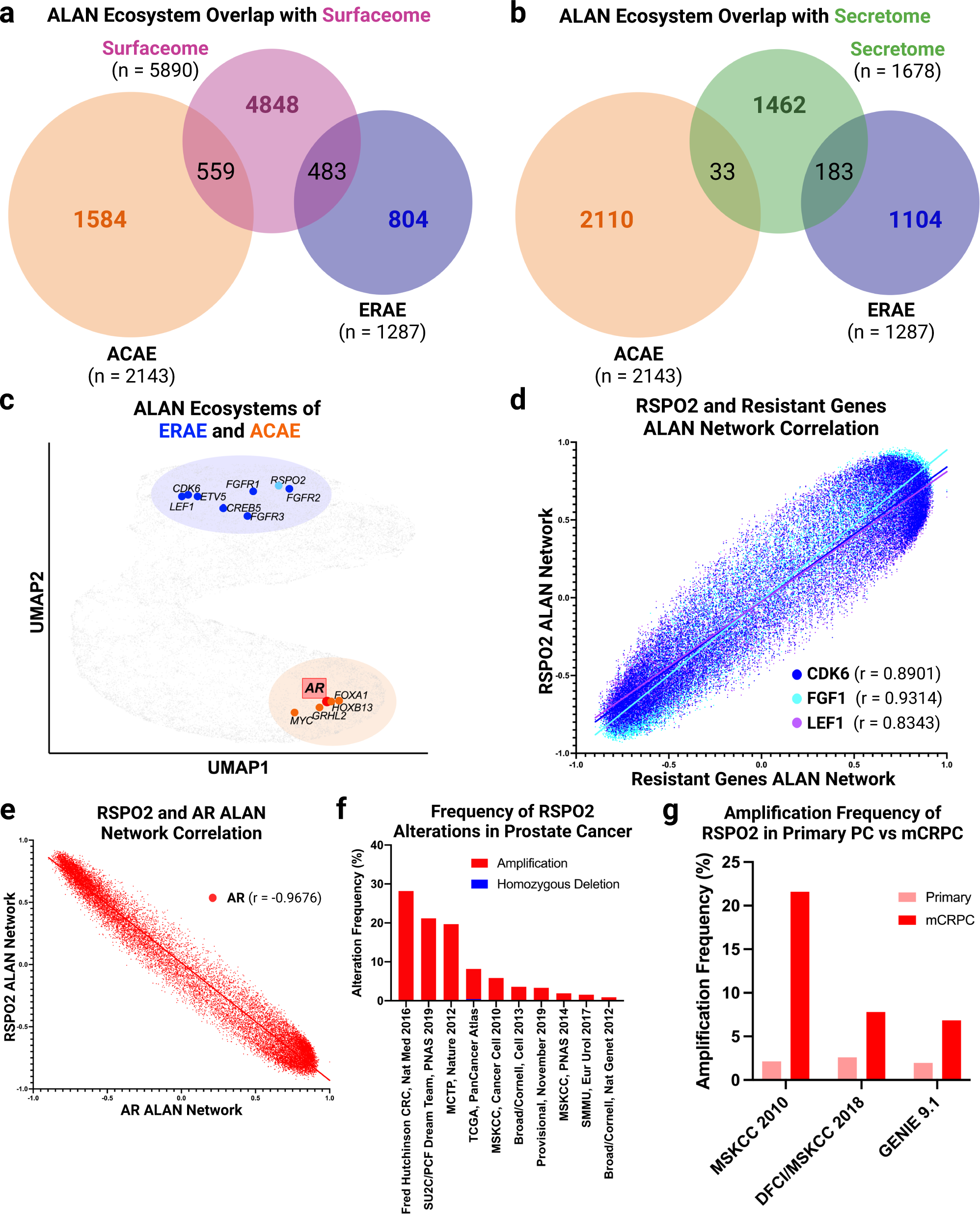 Fig. 5: ALAN nominates secreted protein RSPO2 as potential resistant gene via association with ERAE in advanced prostate tissue.