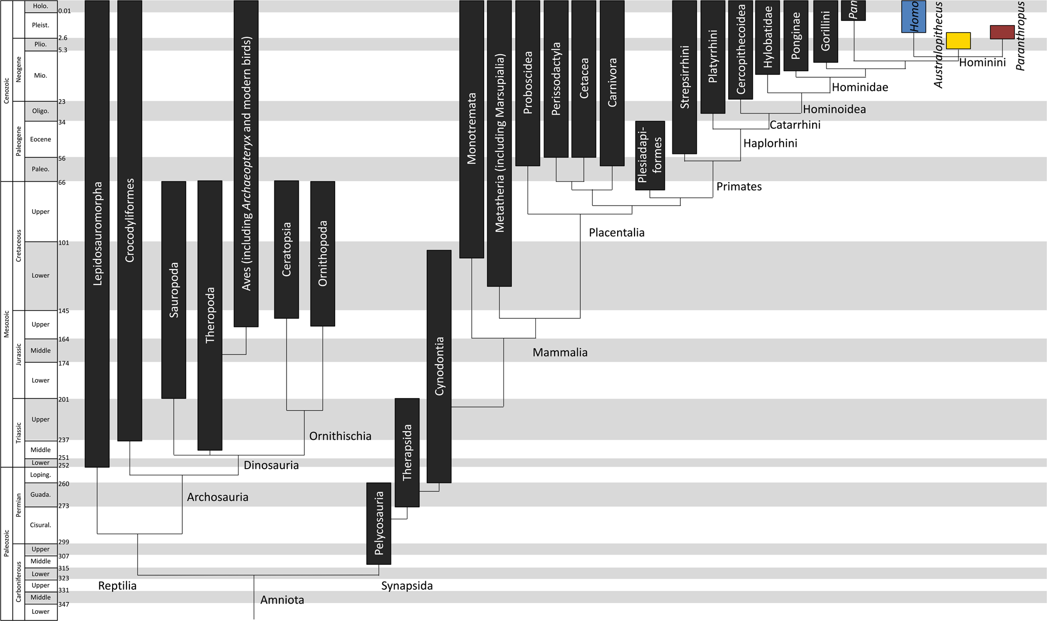 Size Guide — Aida KaaS