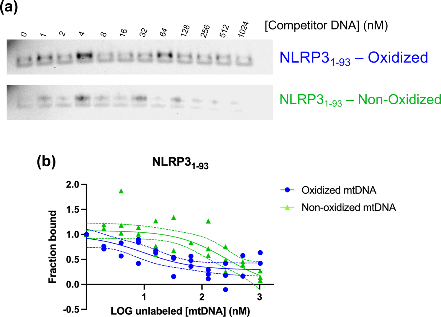 Fig. 7: Pyrin domain of NLRP3 prefers oxidized over non-oxidized mtDNA.
