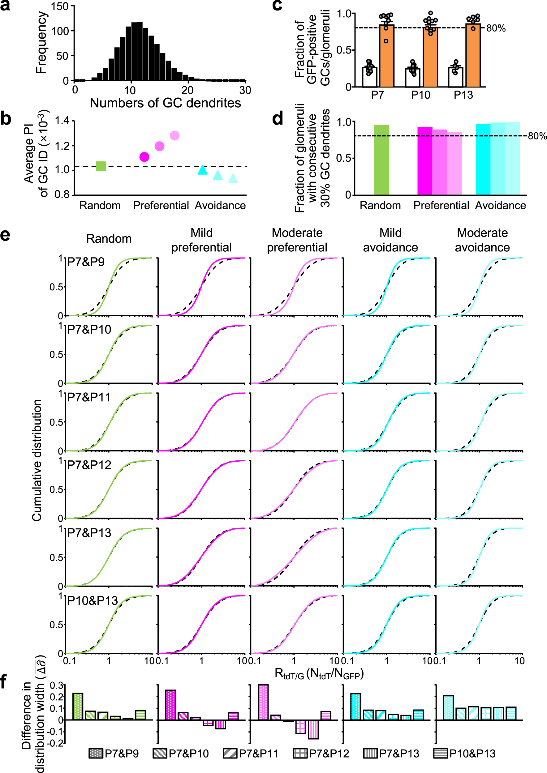 Fig. 4: Interpretation of overall synaptic connections by network models.
