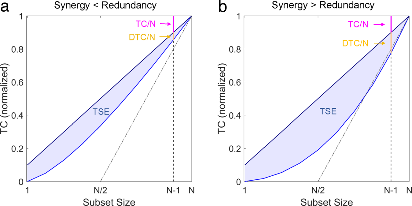 A Synergistic Workspace for Human Consciousness Revealed by Integrated  Information Decomposition