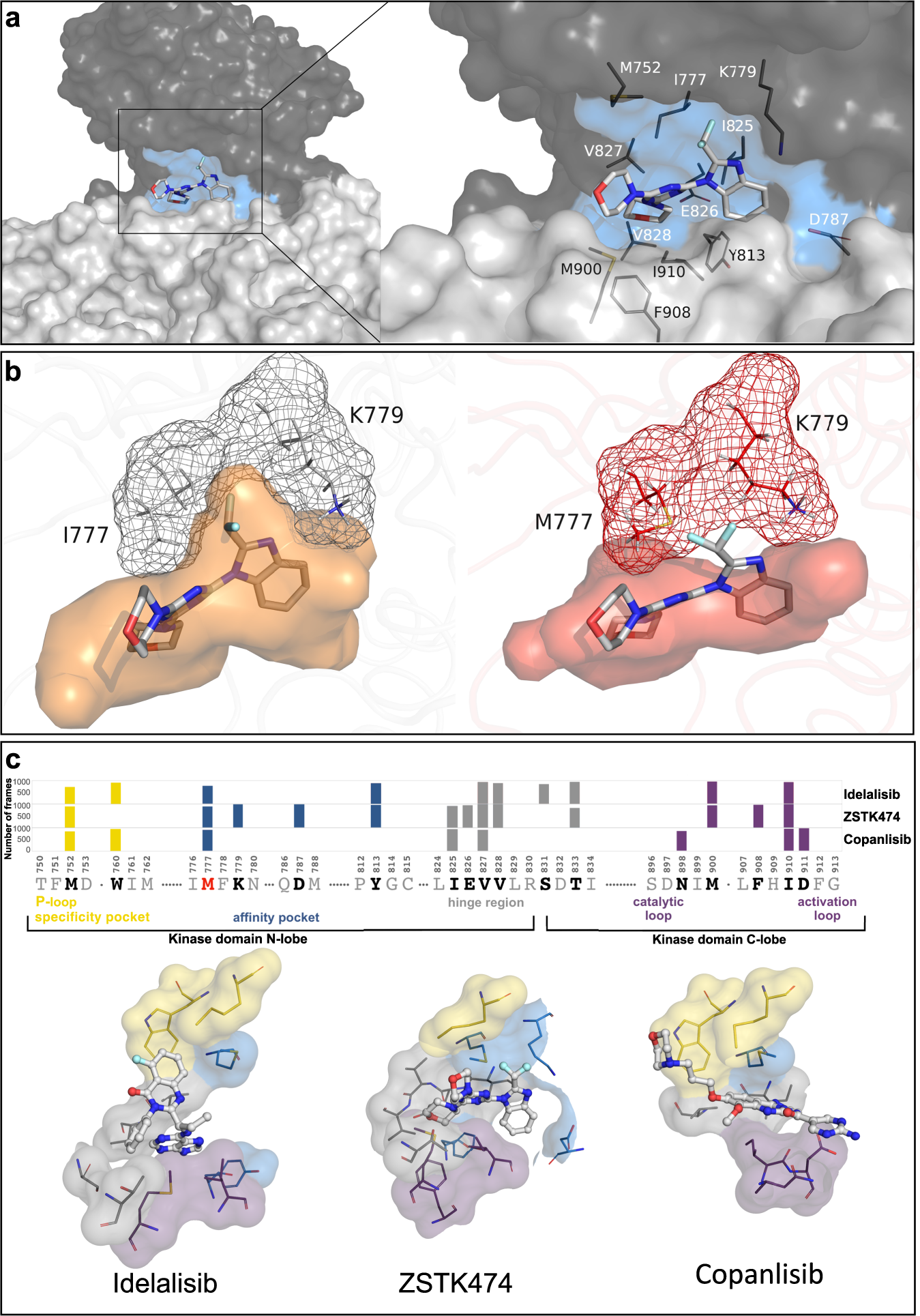 Fig. 7: Impact of the I777M substitution on PI3Ki binding.