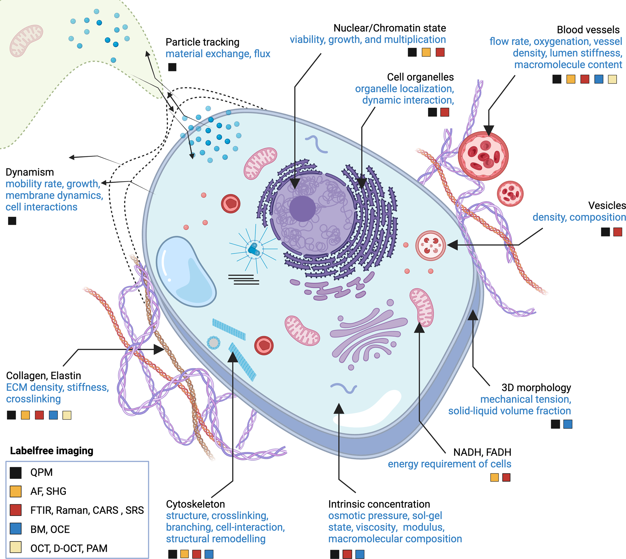 Microscope Lens Paper tissue for Biology and Life Science