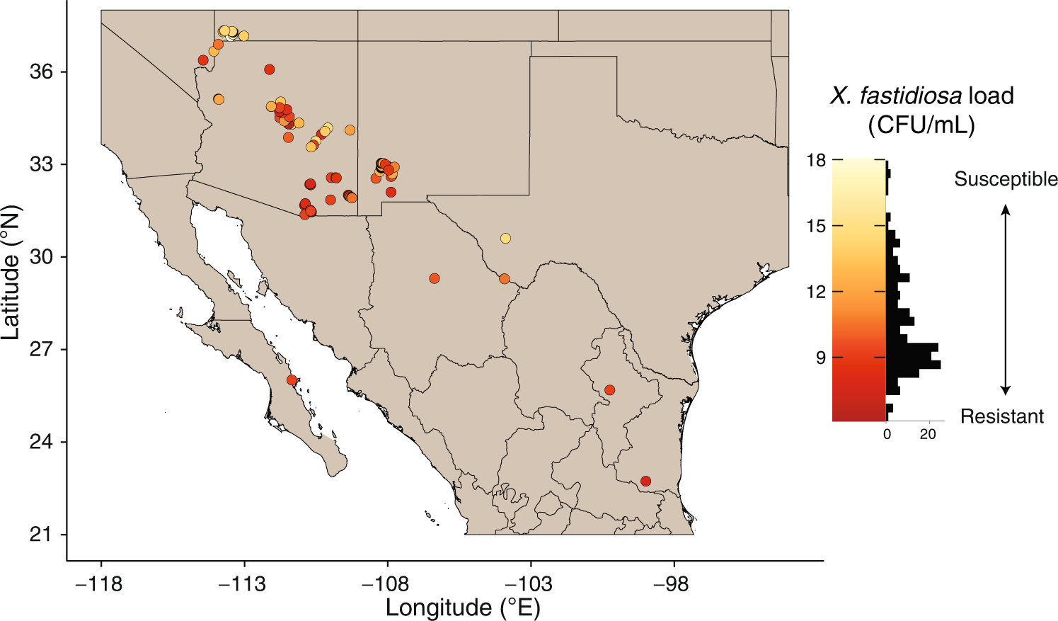 PDF) Mapping the spatial distribution of the invasive Mexican