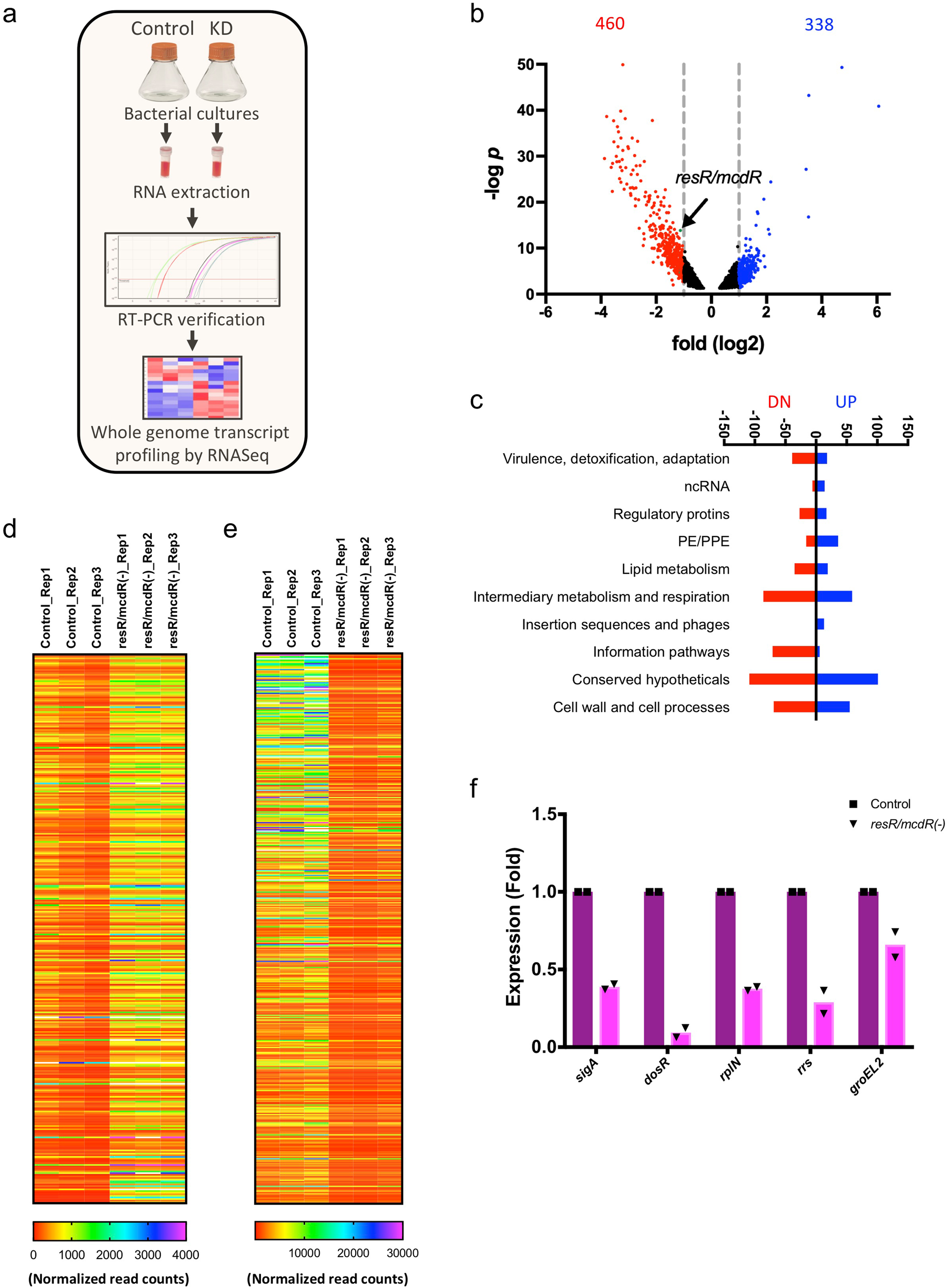 Fig. 3: Effect of resR/mcdR depletion on the whole genome transcriptional profile of Mtb.