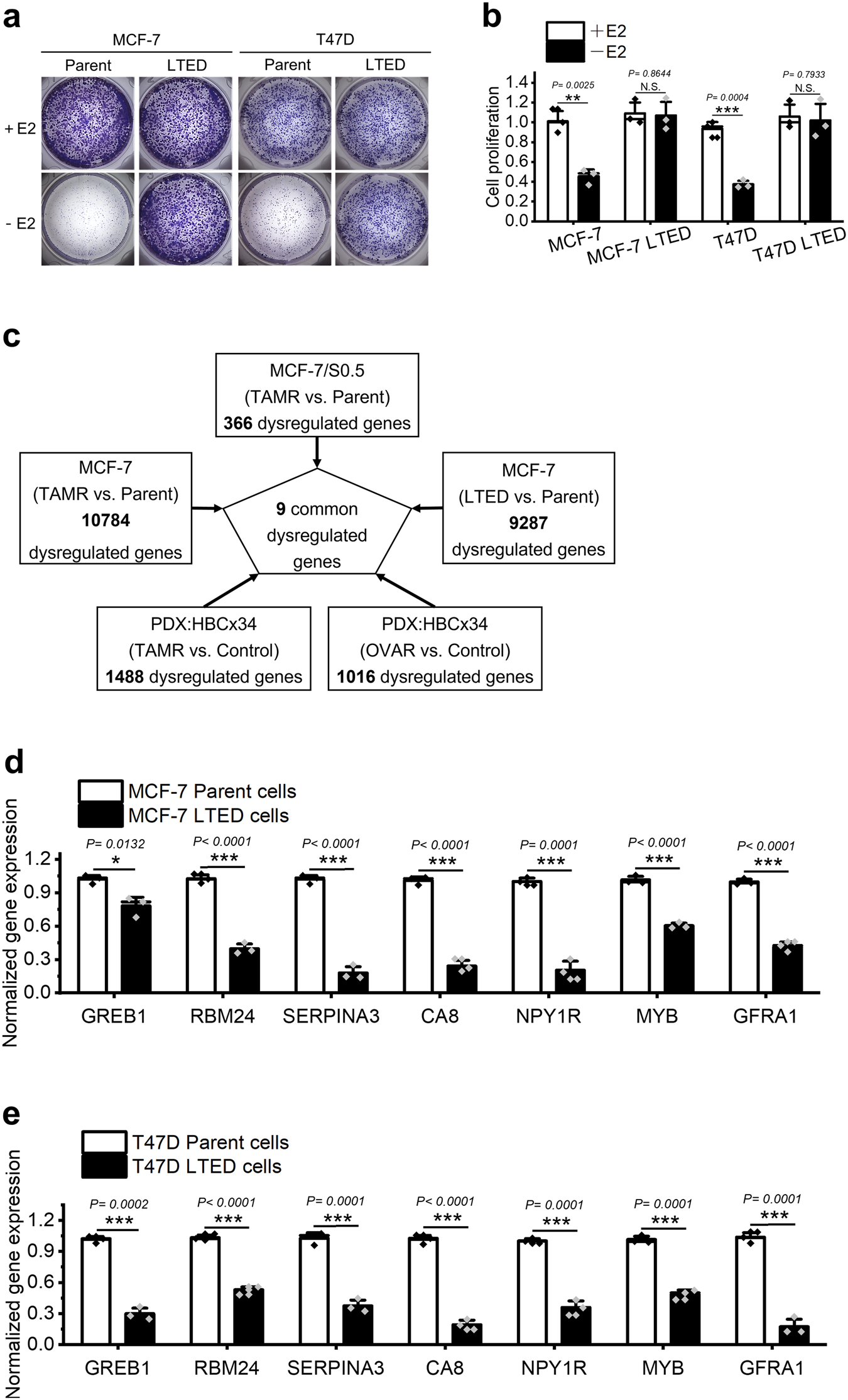 Fig. 1: Screening of candidate genes responsible for endocrine resistance in human ER+ breast cancer.