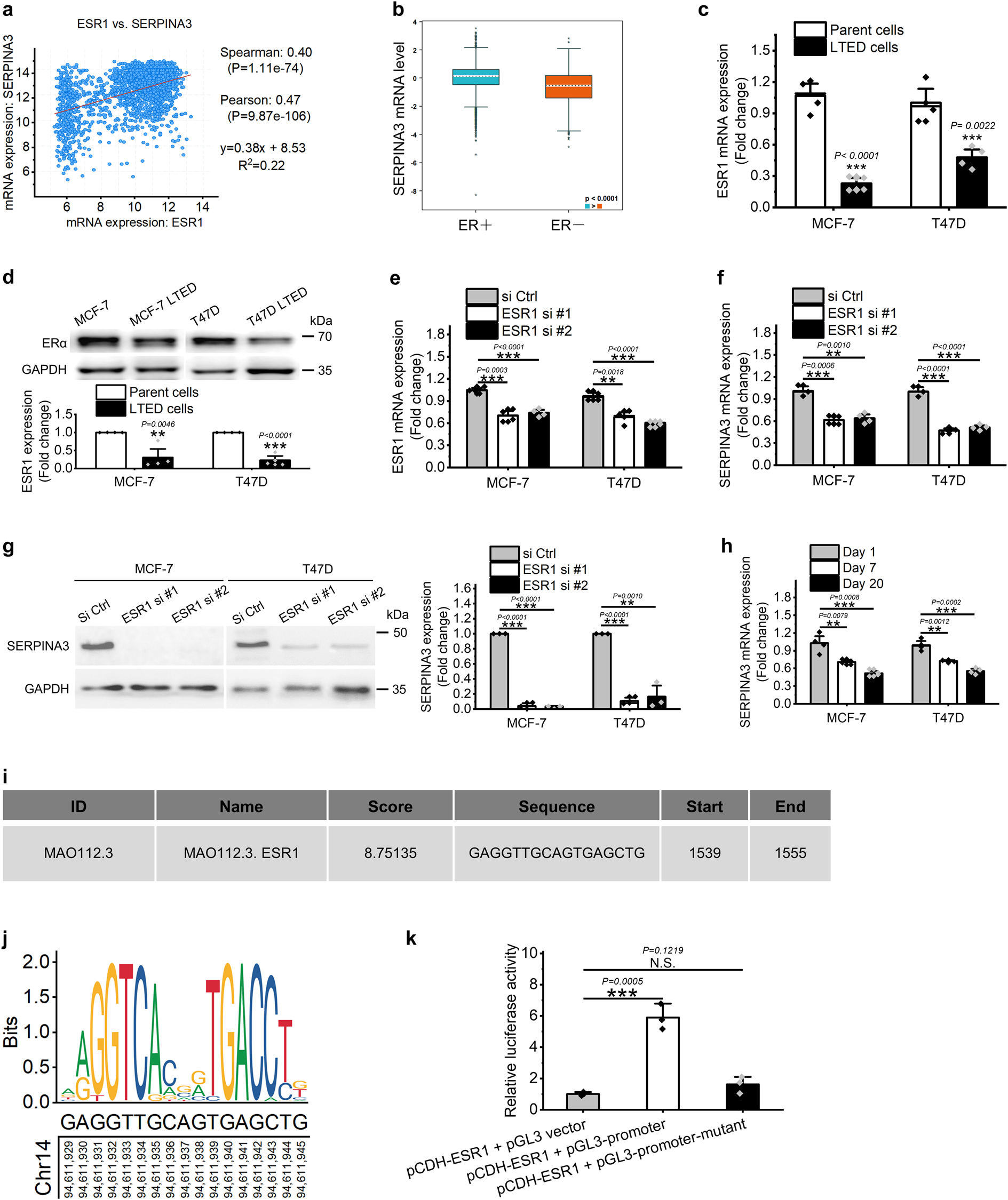Fig. 3: SERPINA3 is an ERα target gene in human breast cancer.