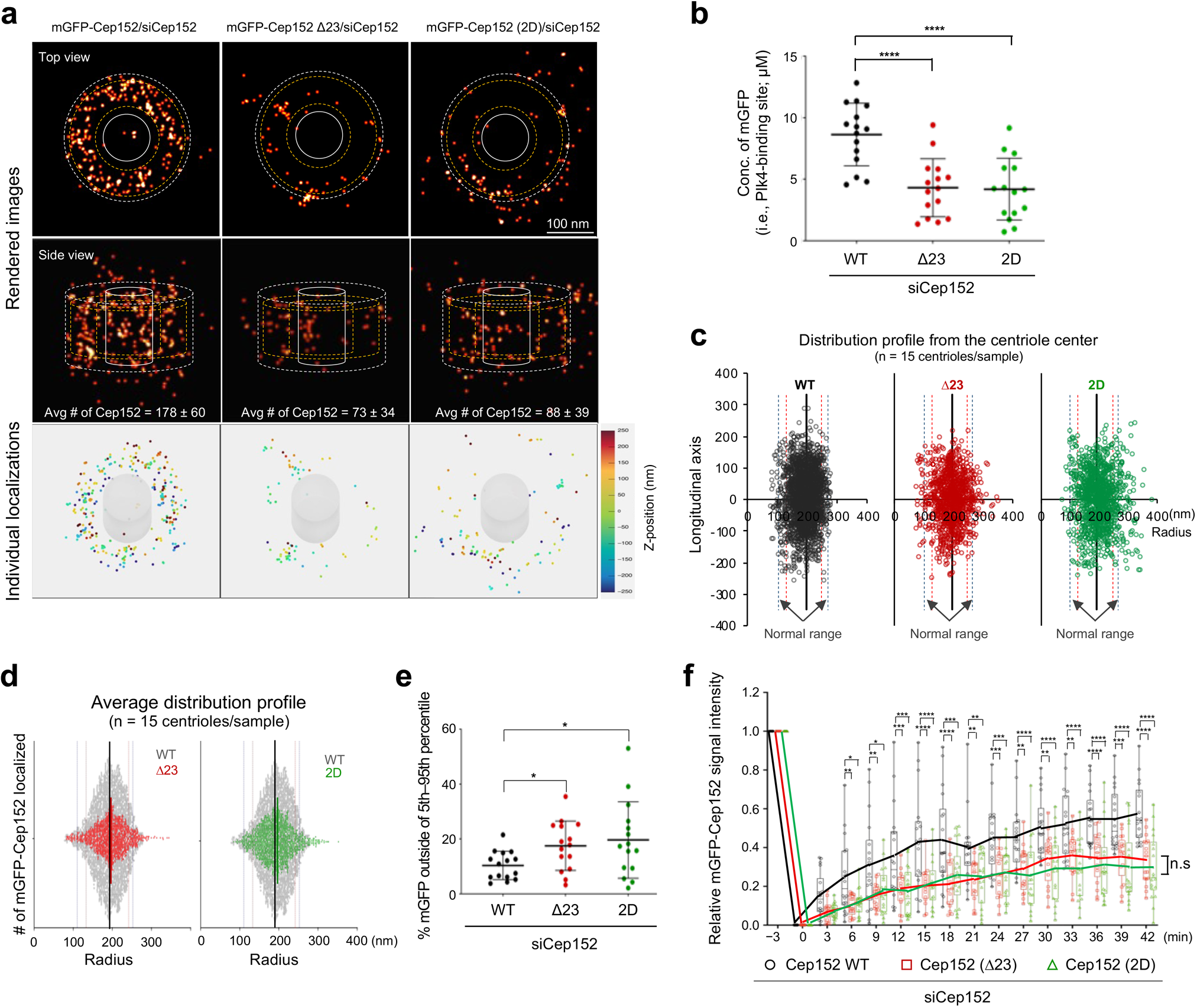 Fig. 7: Mutations in the conserved CC motif of Cep152 result in misorganizing pericentriolar Cep152.