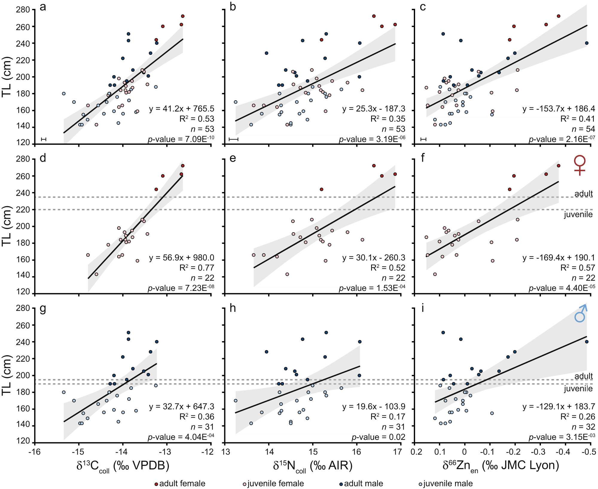 Shark teeth zinc isotope values document intrapopulation foraging  differences related to ontogeny and sex | Communications Biology