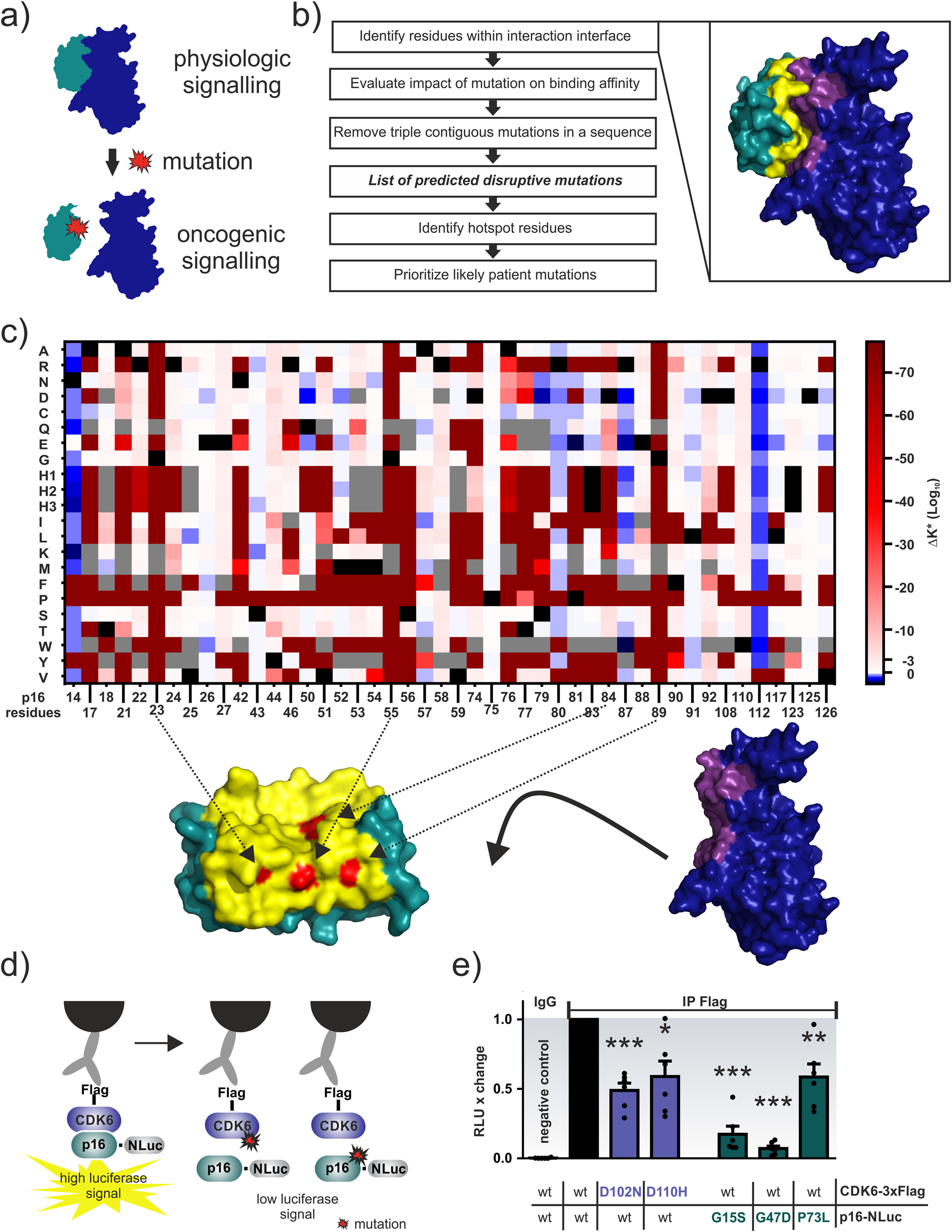 Yuki Saito LAB: CMOP-E