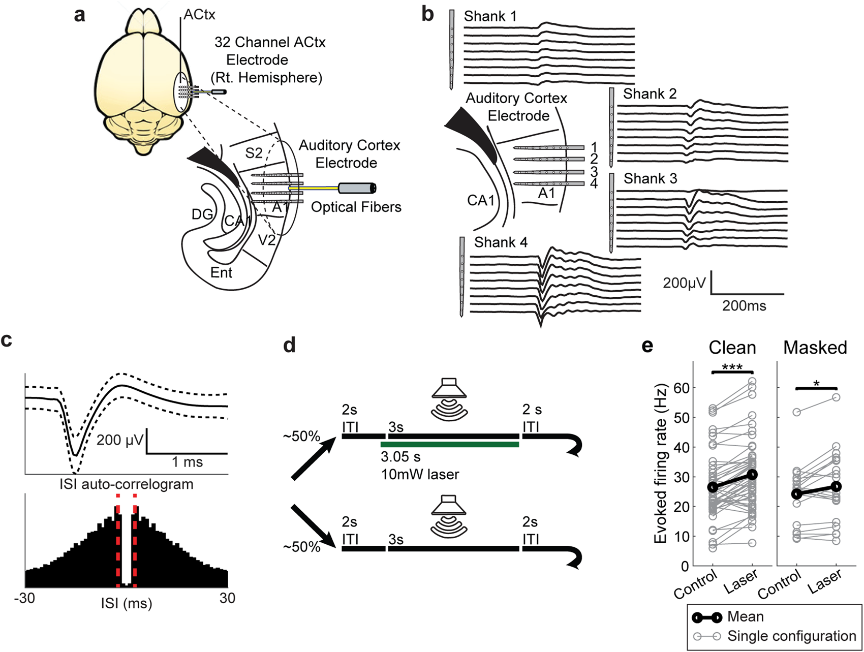 Parvalbumin neurons enhance temporal coding and reduce cortical noise in  complex auditory scenes