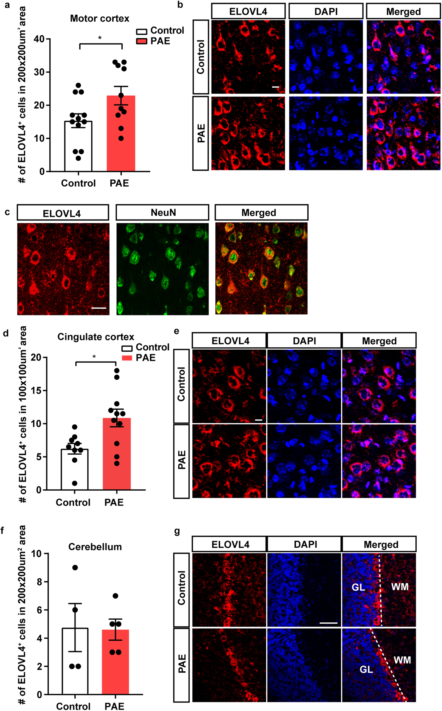 Taxonomic and Functional Variations Induced by an Overloading