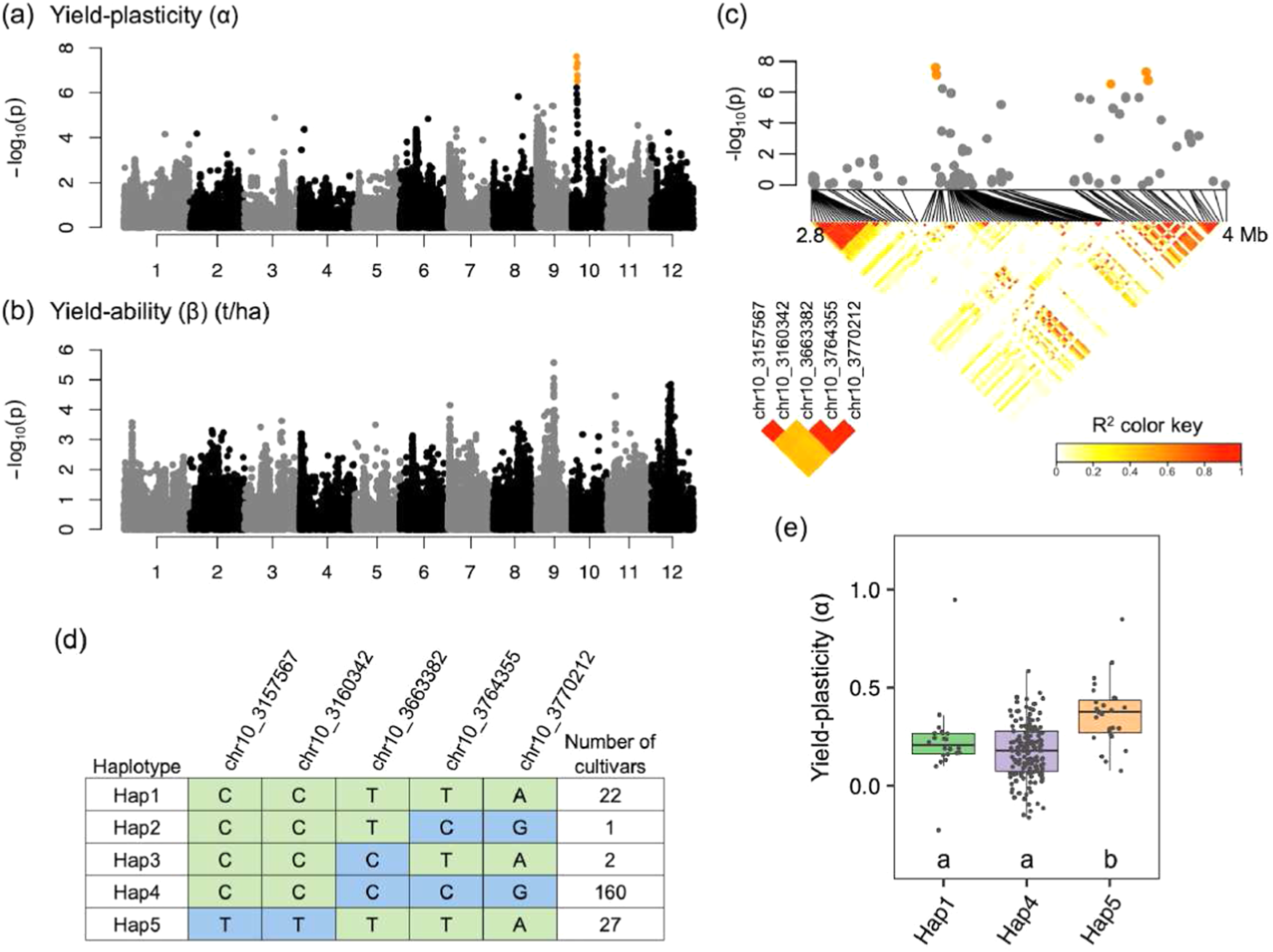 Fig. 3: The genome-wide association study for yield-plasticity and yield-ability.