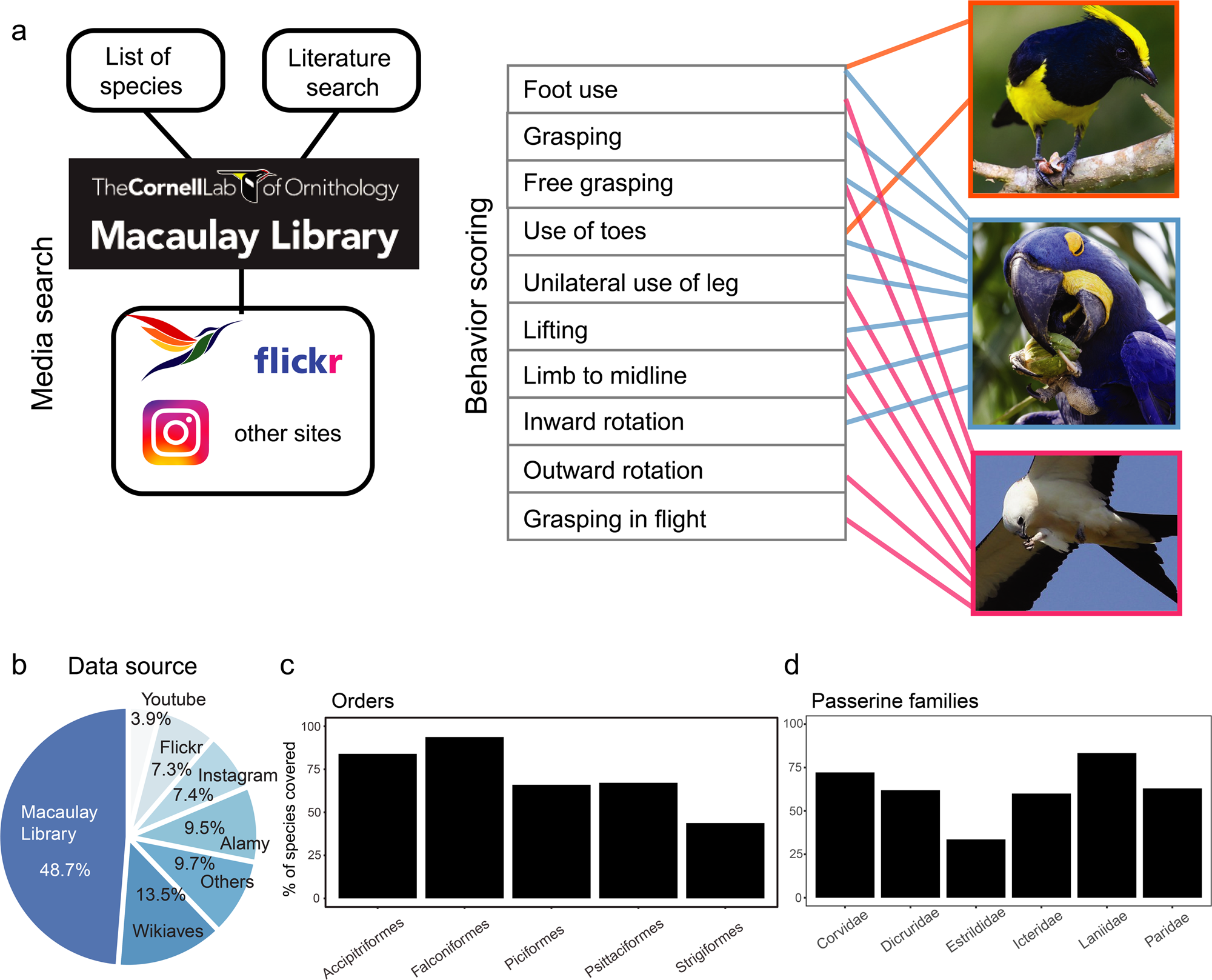 A list of the diurnal birds of prey - Biodiversity Heritage Library