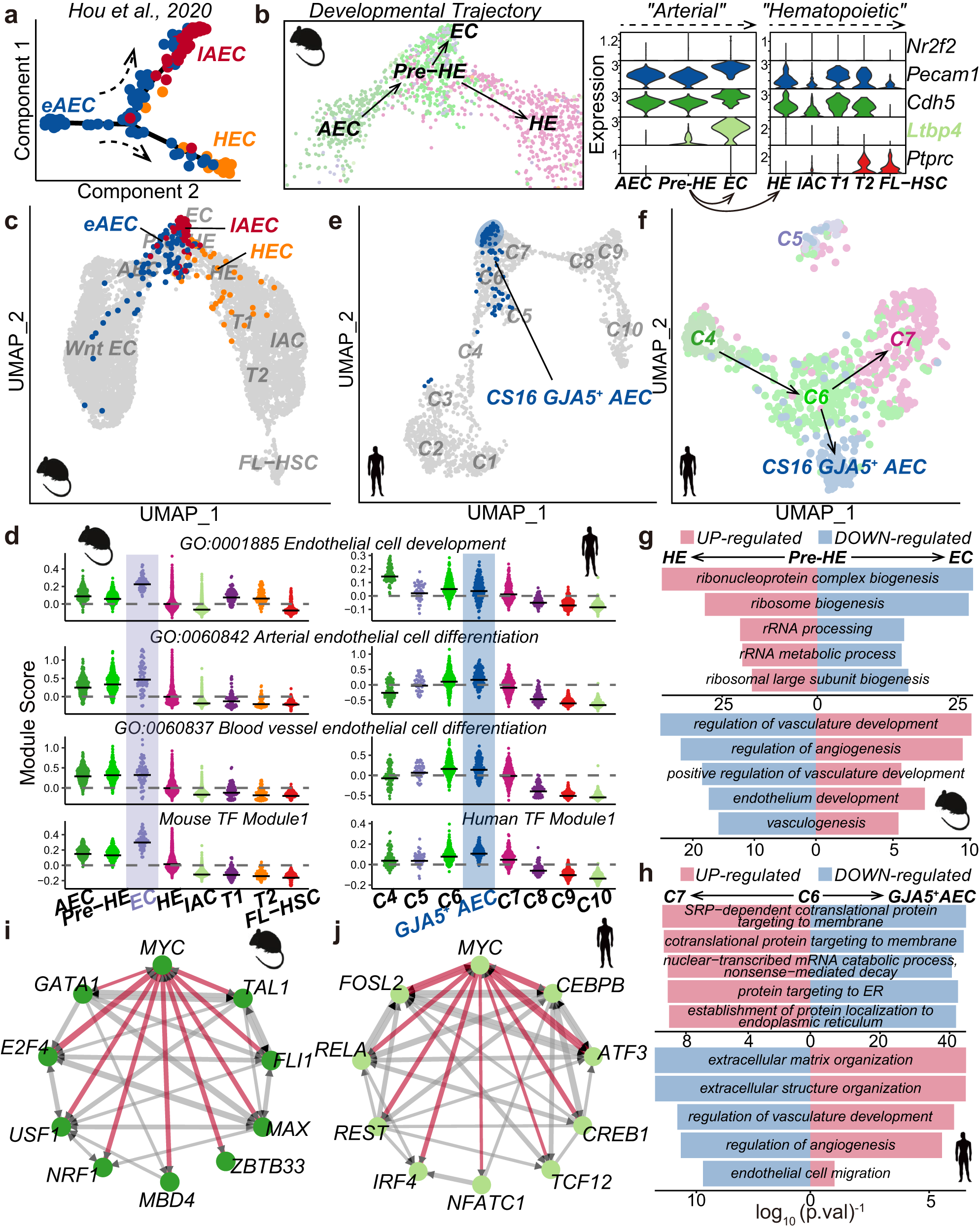 Fig. 3: Bifurcation point identification during the AEC-to-HE transition.