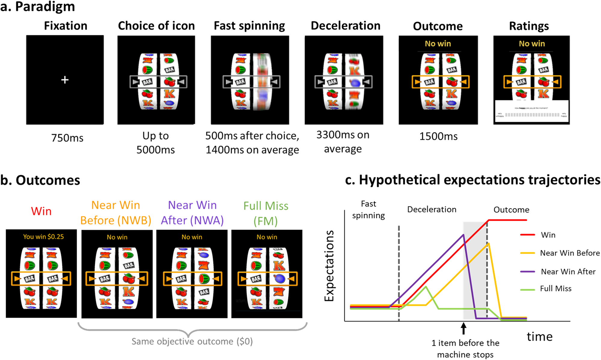 Dynamic expectations: Behavioral and electrophysiological evidence of  sub-second updates in reward predictions