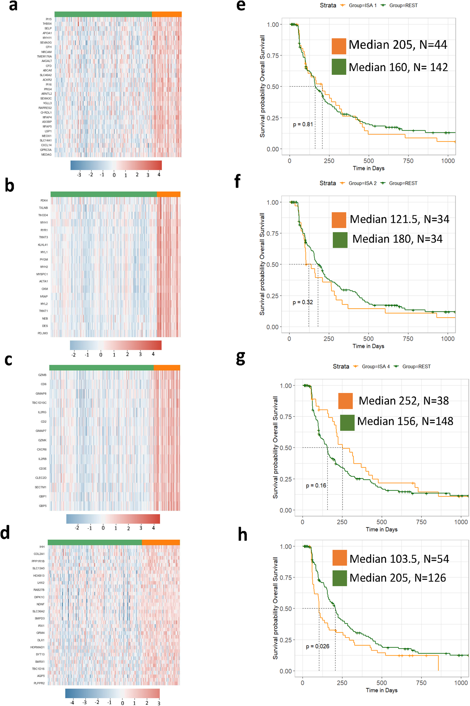 Fig. 7: Bi-clustering defines additional gene signatures and sub-populations in canine osteosarcoma.