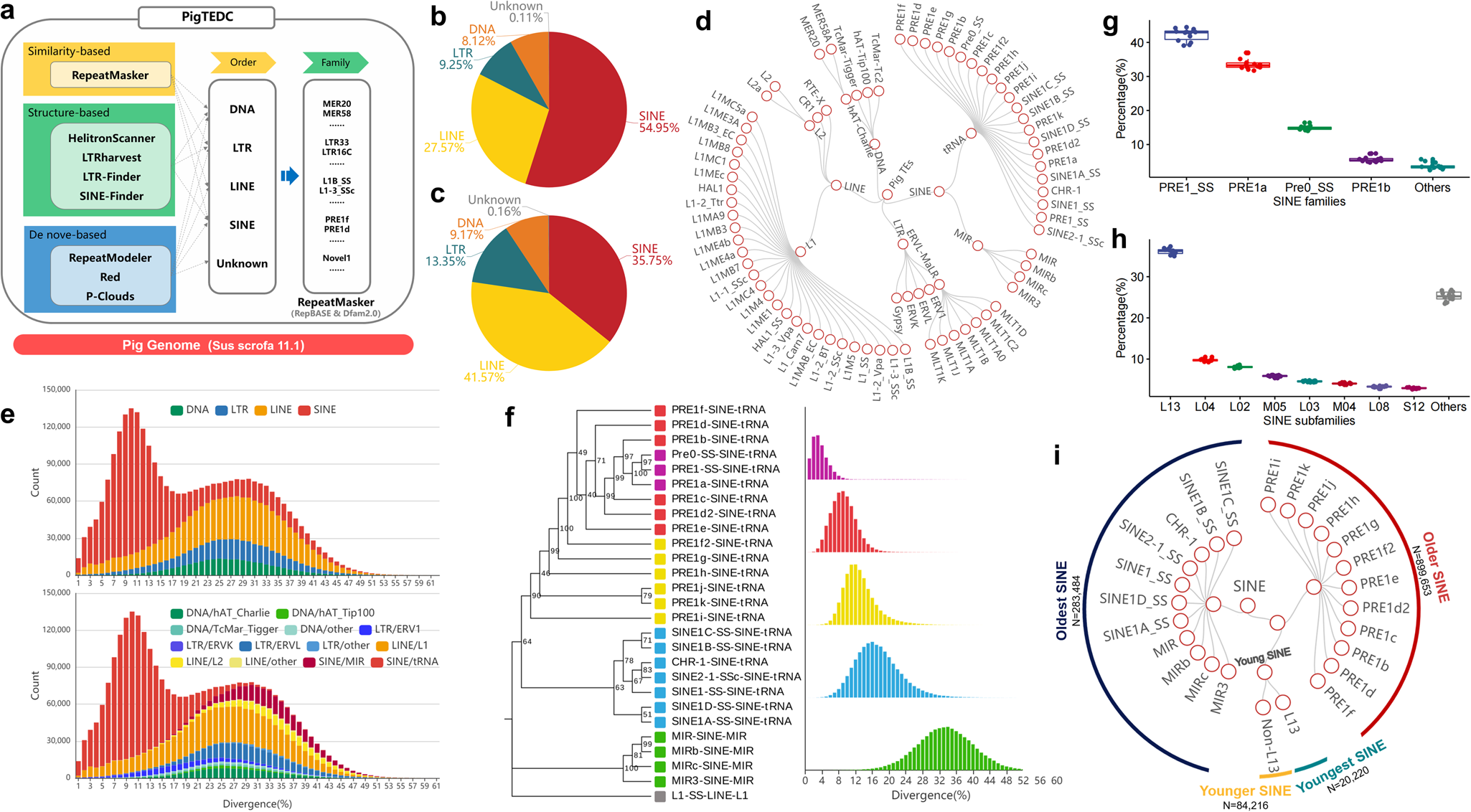 Young SINEs in pig genomes impact gene regulation, genetic diversity, and  complex traits