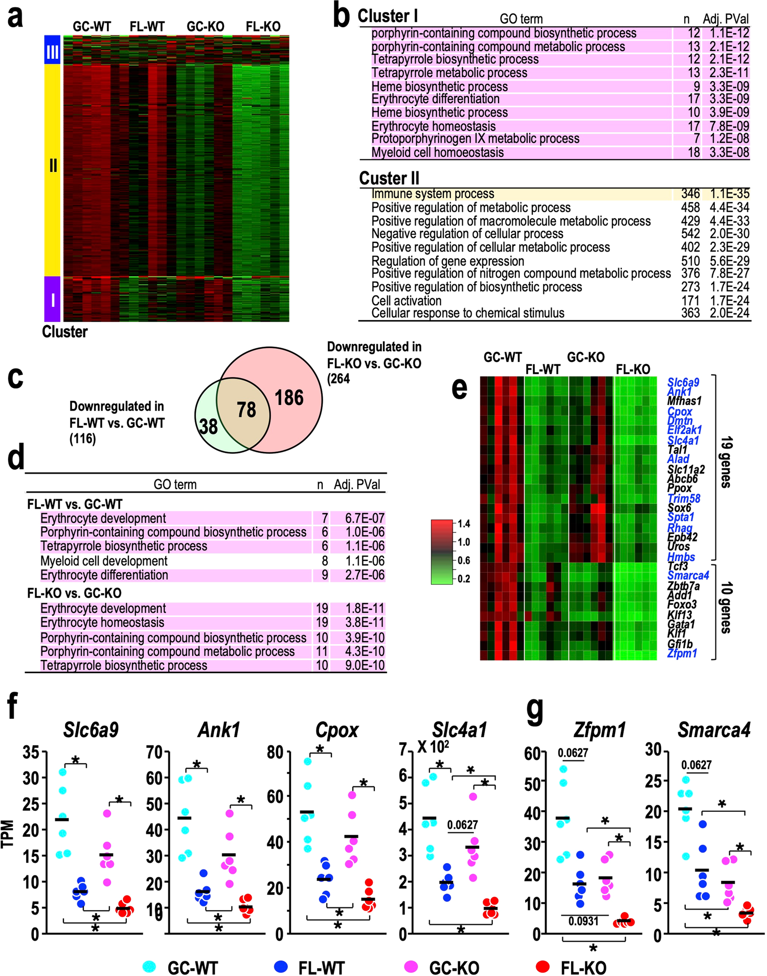 Fig. 8: RNA-seq analysis of bone marrow samples focusing on the comparison between GC and FL mice.