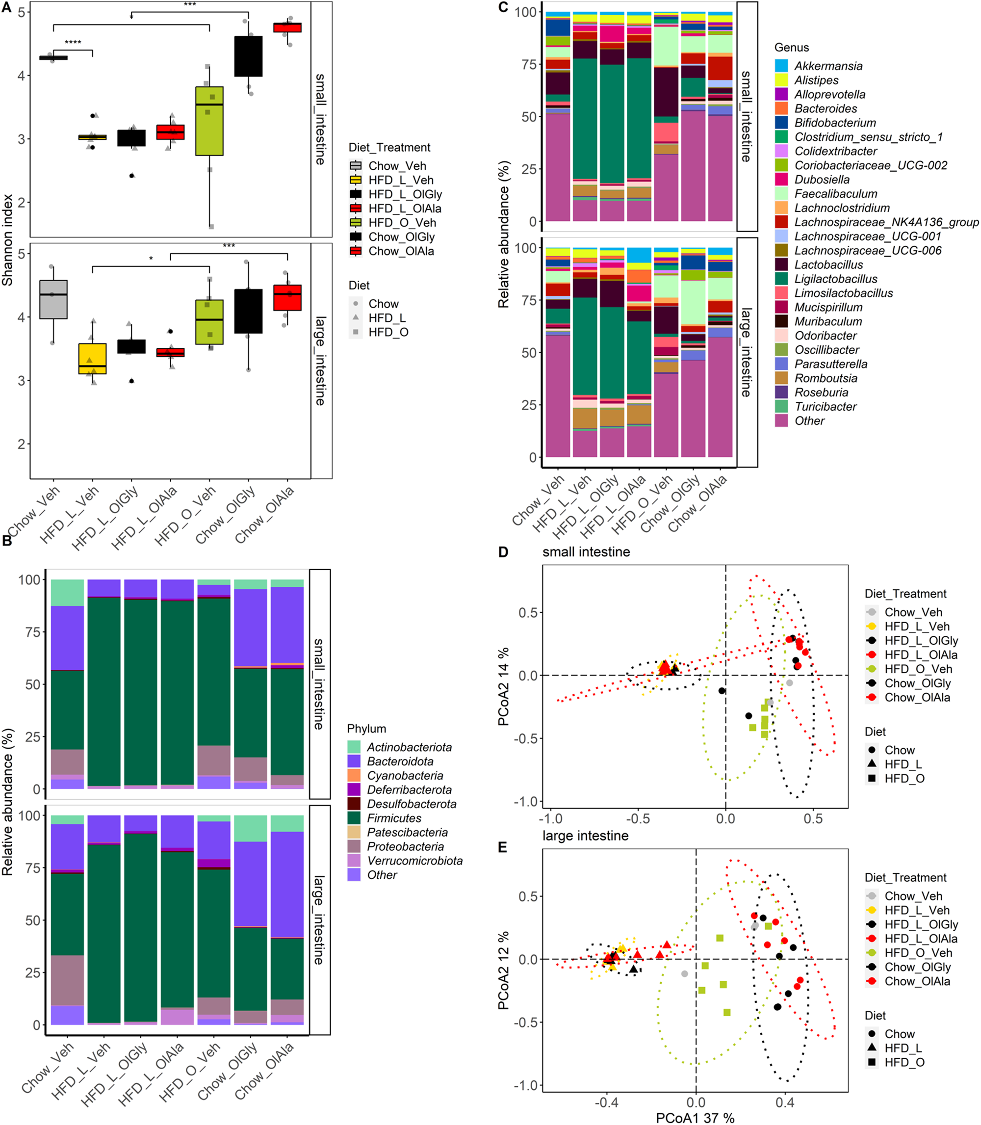 Fig. 5: Olive oil diet counteracts the decrease of microbiota diversity observed under HFD-L and displays a distinct microbiota composition at the interface between HFD-L and chow diets.