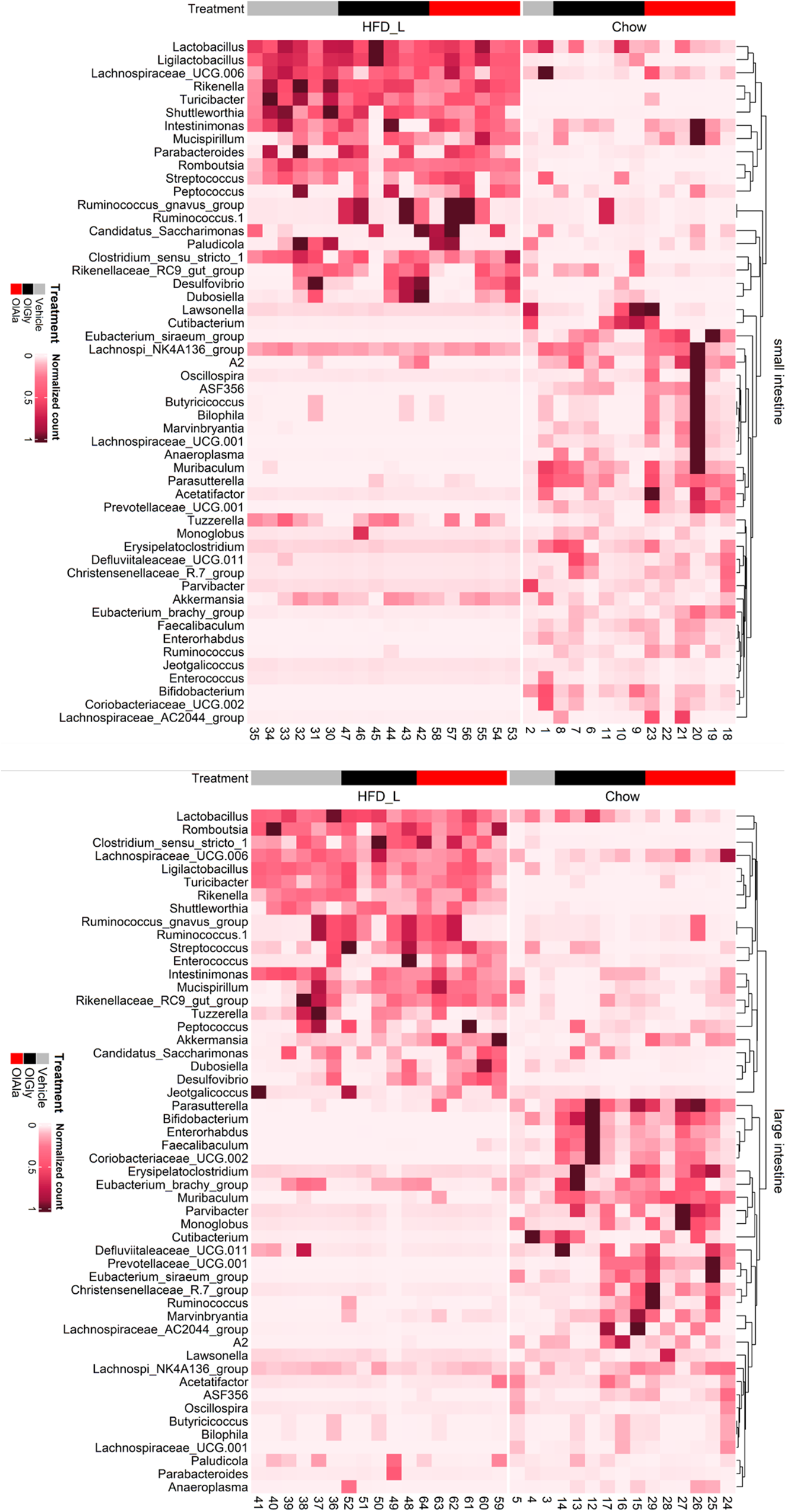 Fig. 6: Diet is the main driver of the overall microbial signature shift across gut regions regardless of the treatment.