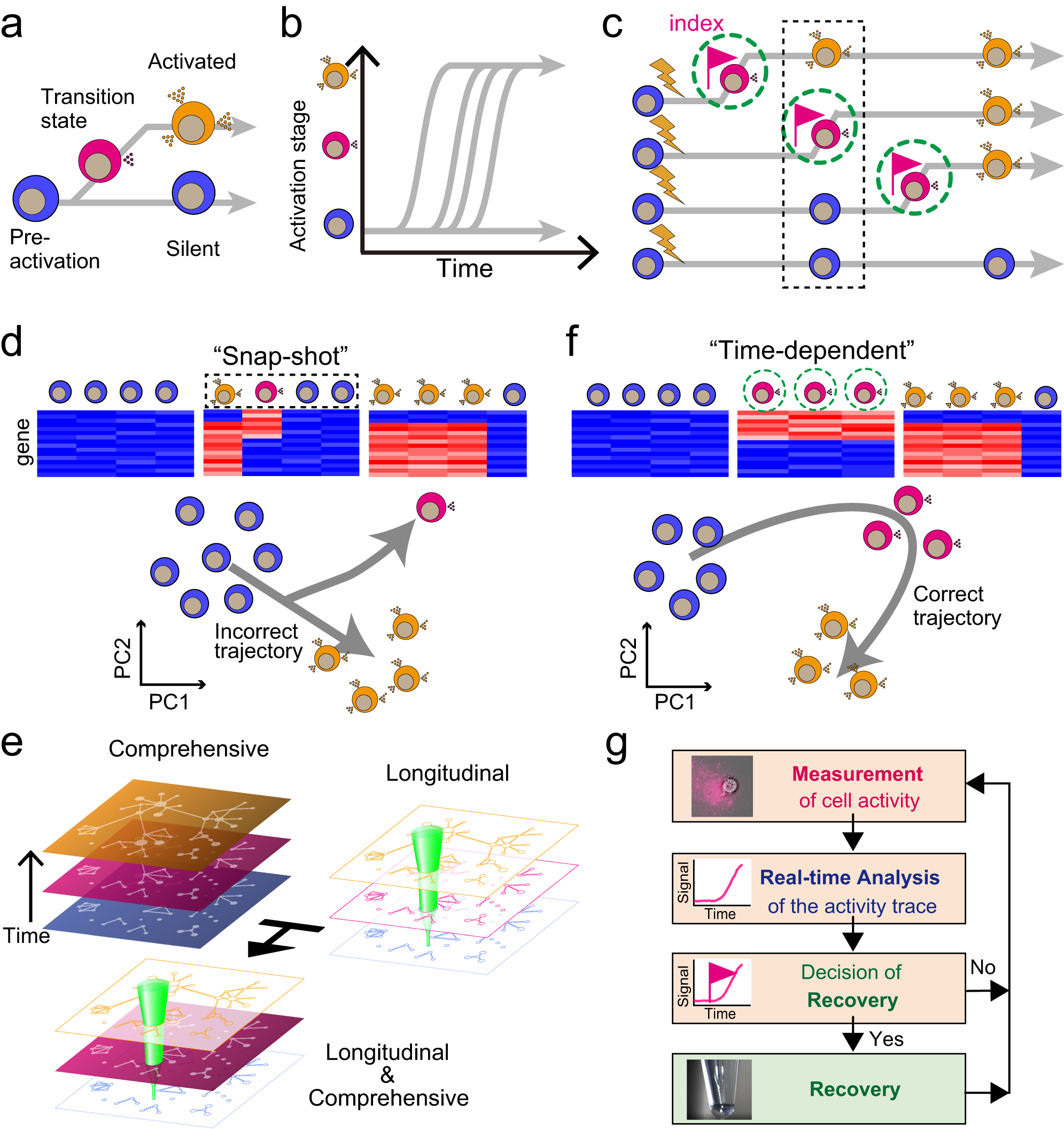 Fig. 1: Concept of time-dependent cell-state selection, TDCSS.