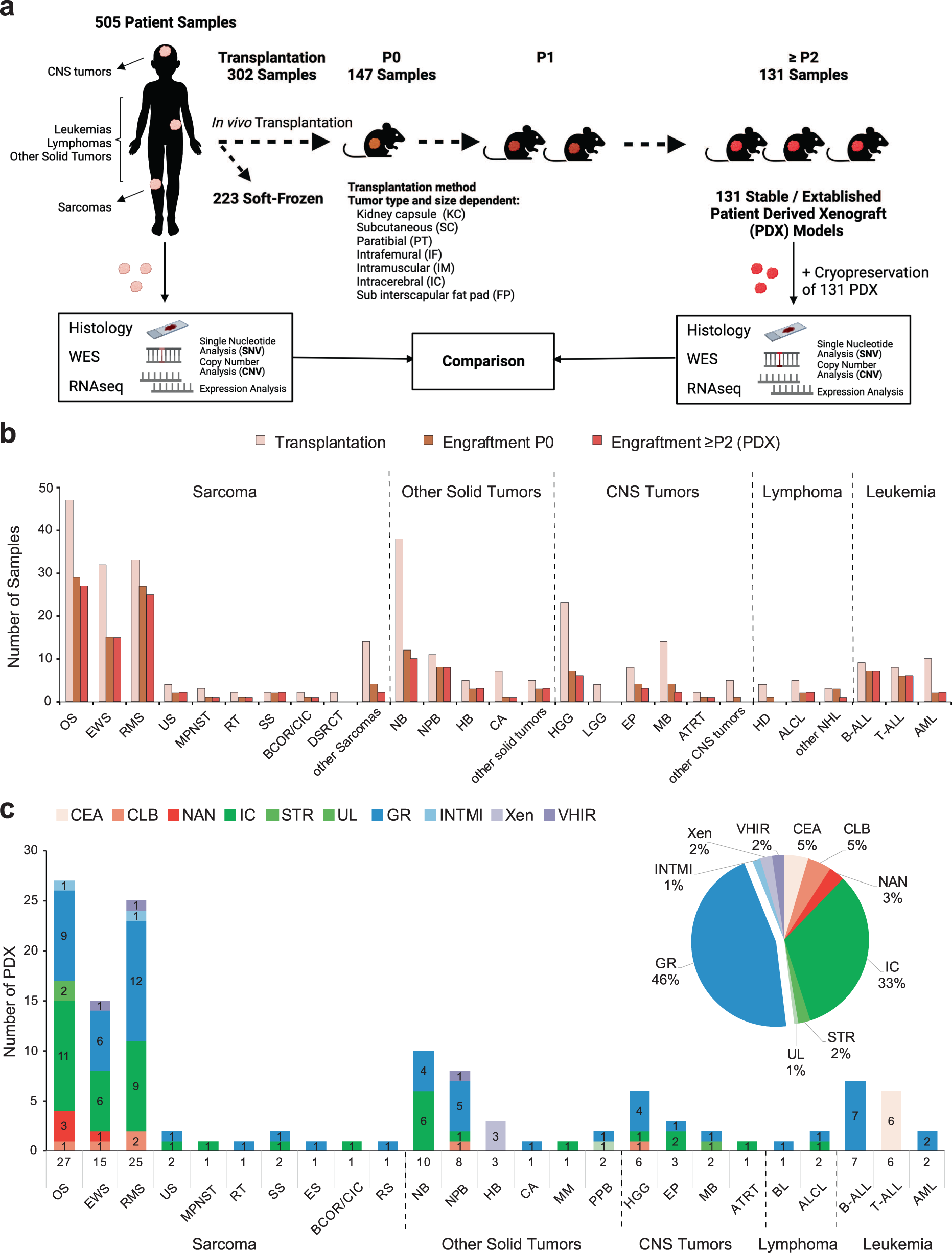 A biobank of pediatric patient-derived-xenograft models in cancer precision medicine trial MAPPYACTS for relapsed and refractory tumors Communications Biology