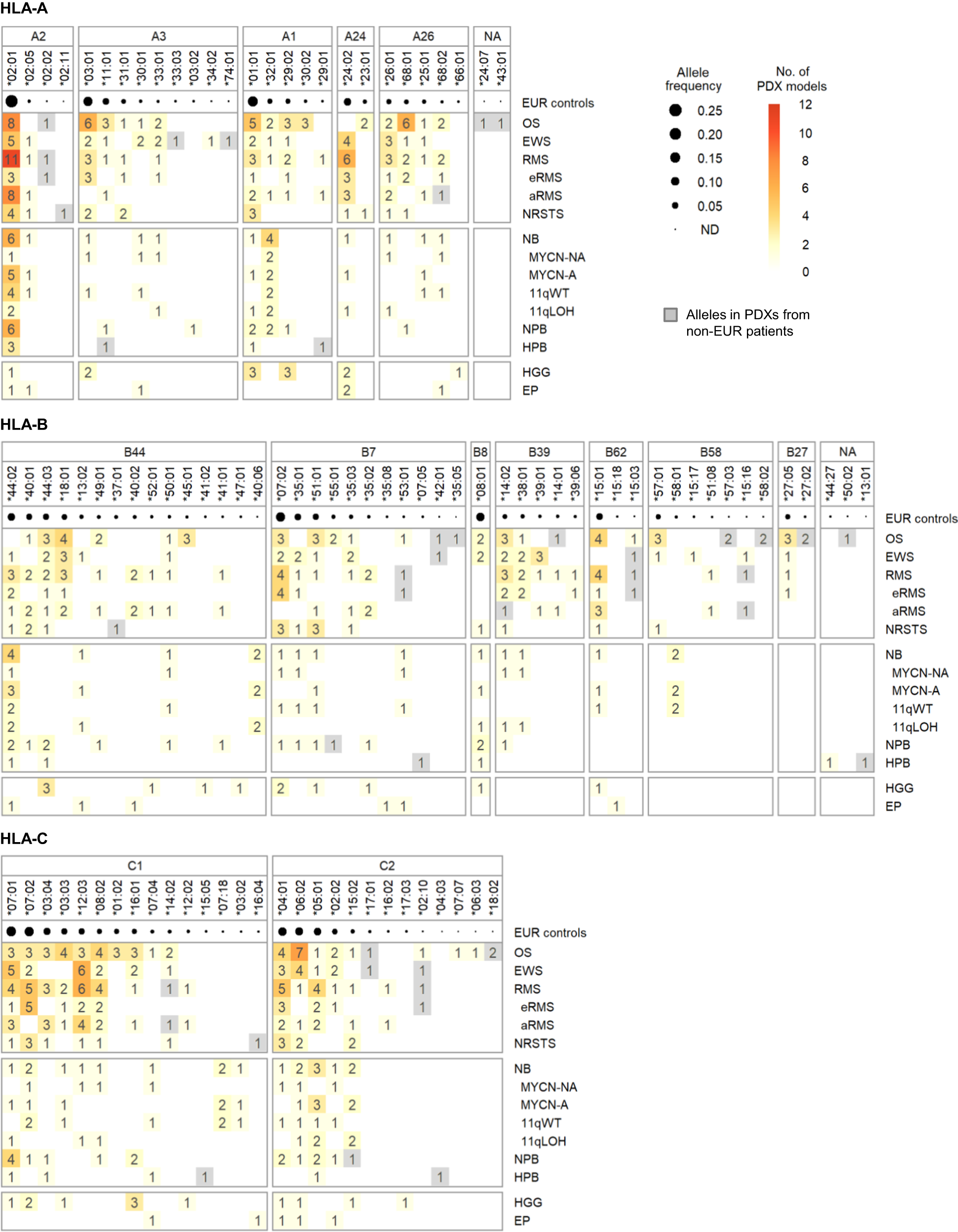 Fig. 5: HLA class I alleles detected in PDX models from pediatric solid cancers.
