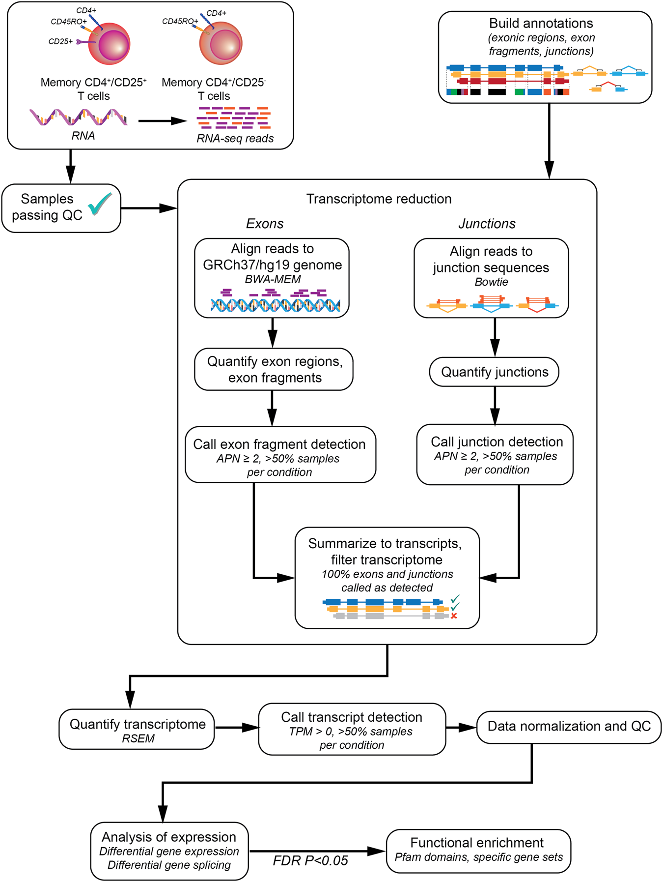 Fig. 1: Overview of the analyses used in this study.