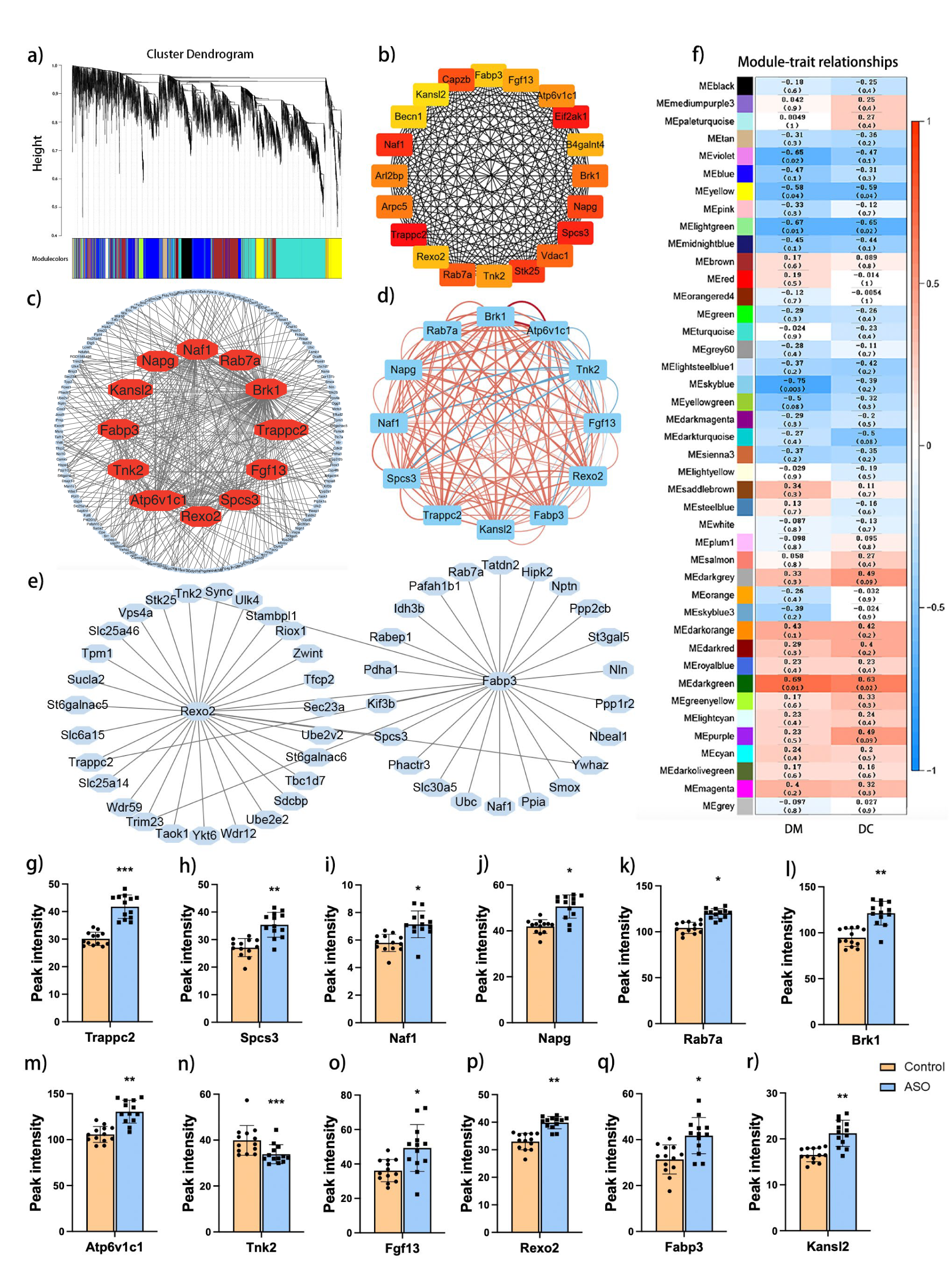 Fig. 3: Weighted correlation network analysis (WGCNA) of rat’s brains.
