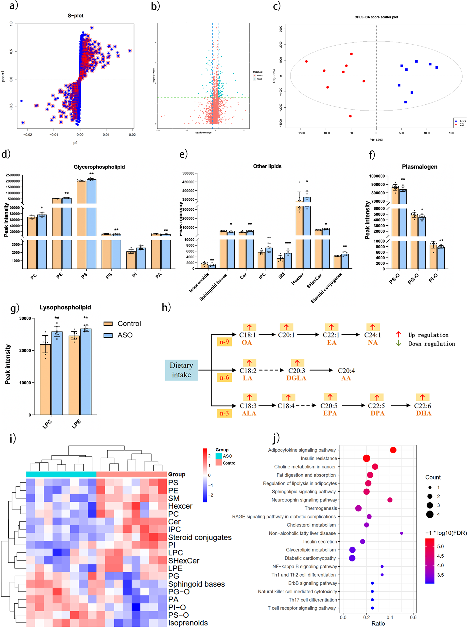 Fig. 4: Alterations in the metabolism induced by ASO treatment.