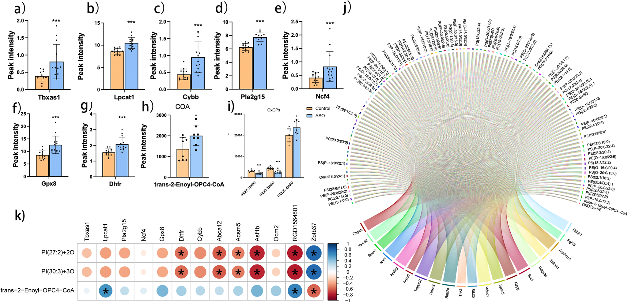 Fig. 5: Network diagram combining transcriptomics with lipidomics analysis.