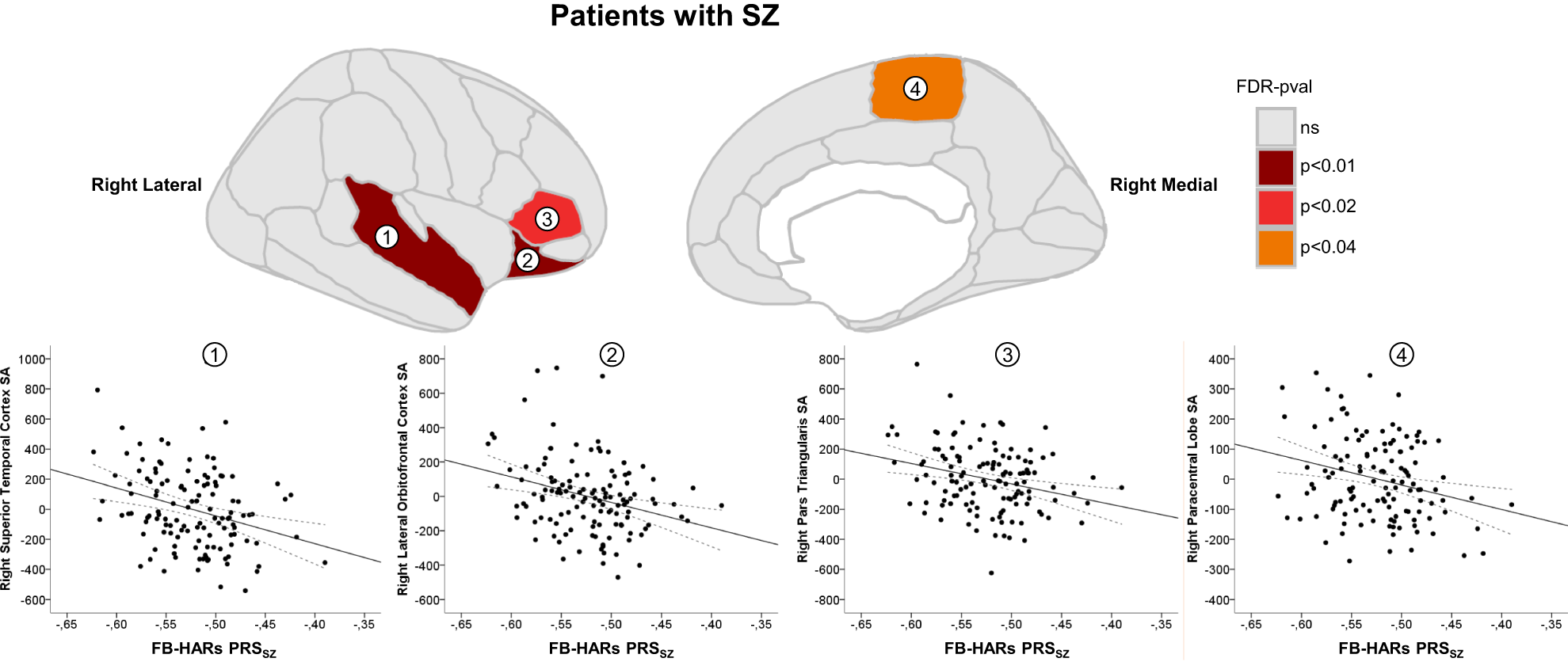 Human-specific evolutionary markers linked to foetal neurodevelopment  modulate brain surface area in schizophrenia | Communications Biology