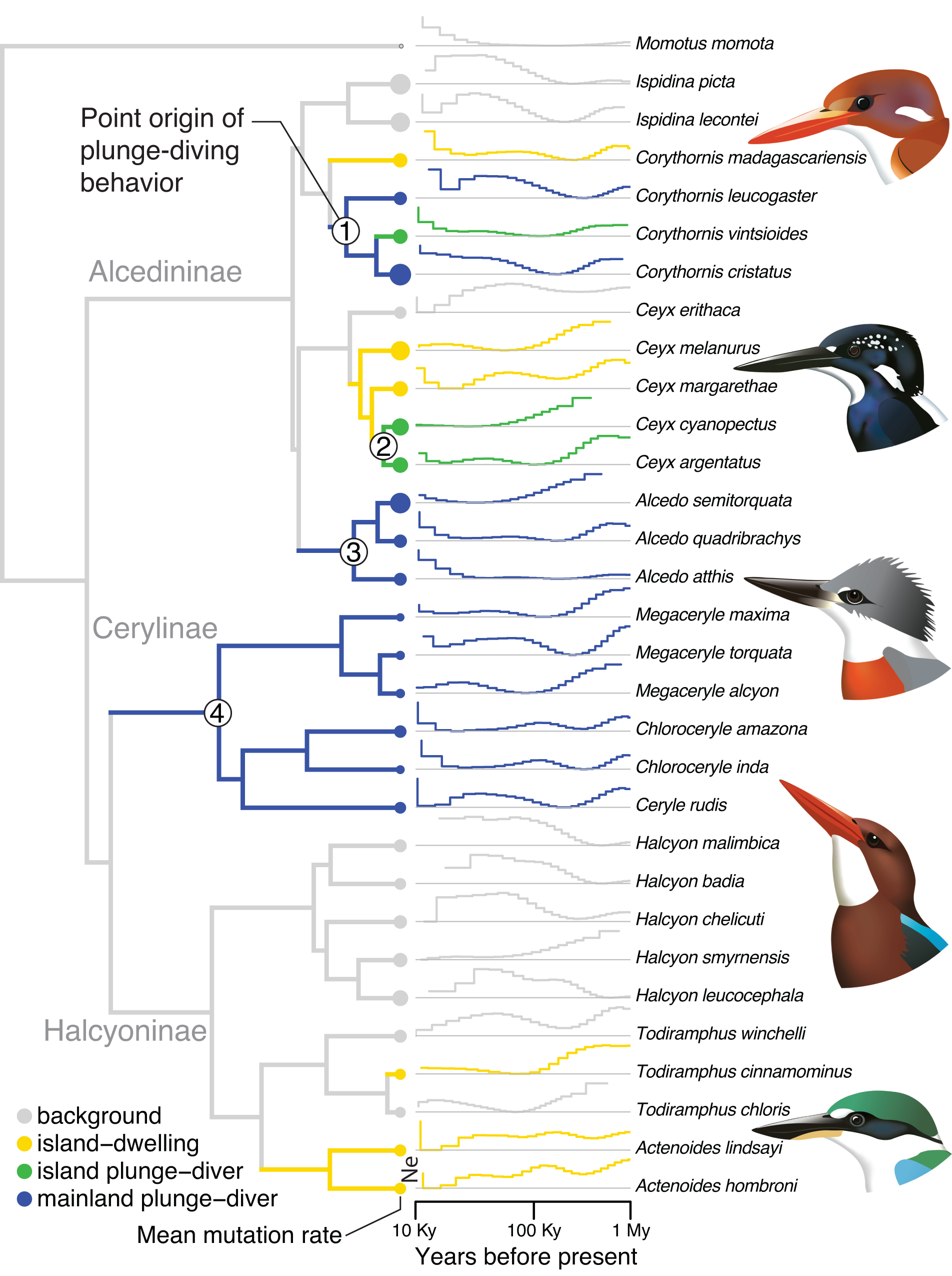 Siddharth Mallya at Hunt for the 'Kingfisher Calendar Girl' Photo | 226695, image size:1904x2550