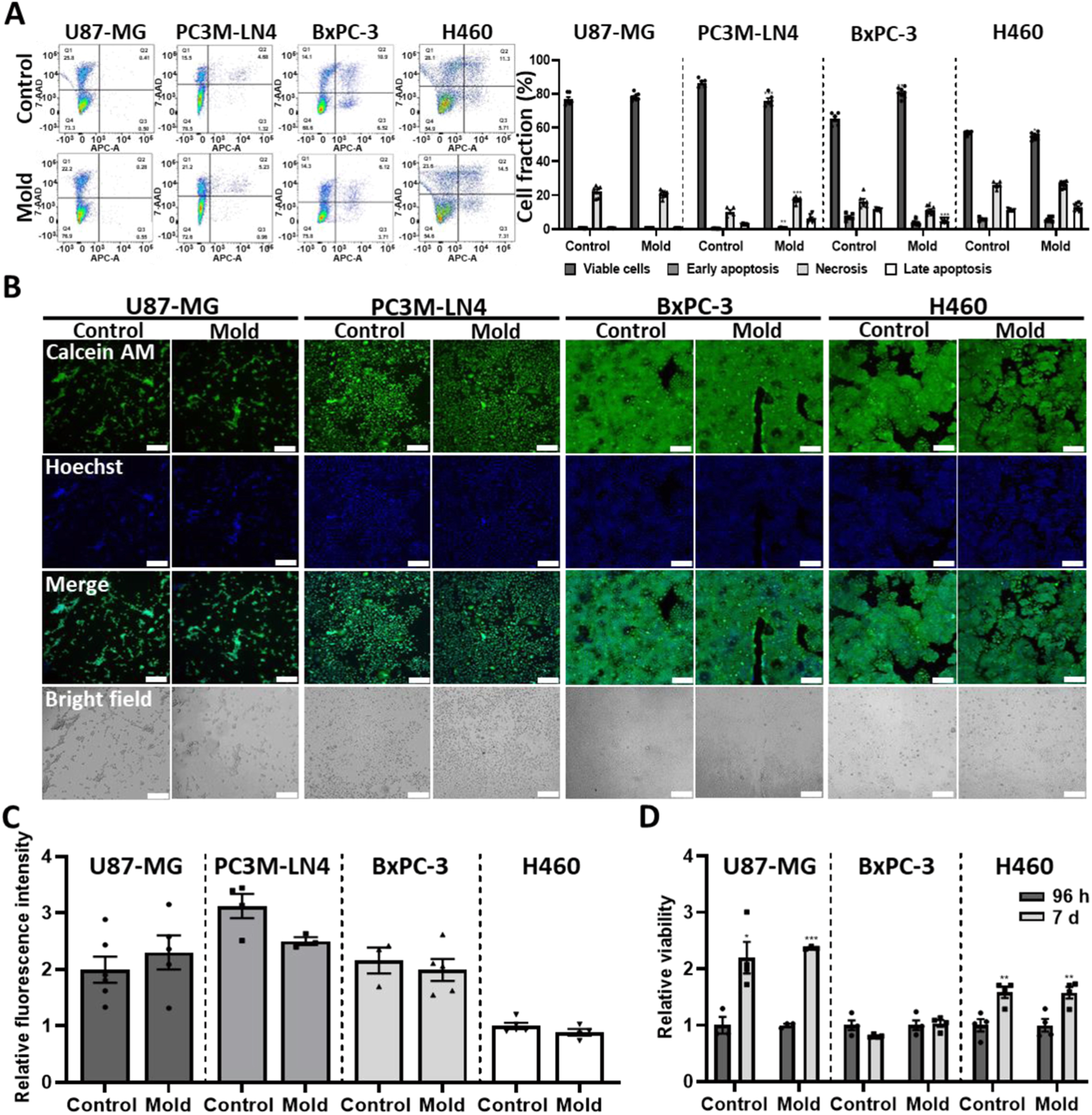 Fig. 2: 3D-printed molds are biocompatible for long term culture of cells and spheroids.